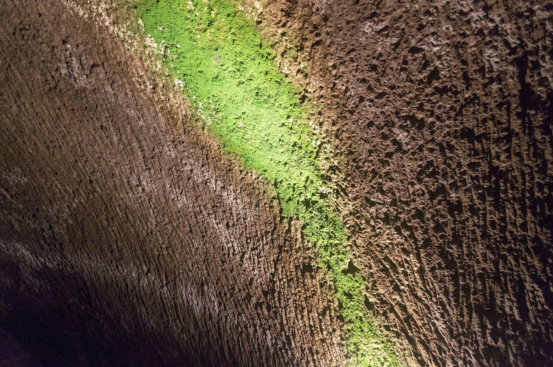 Naples Underground, Naples