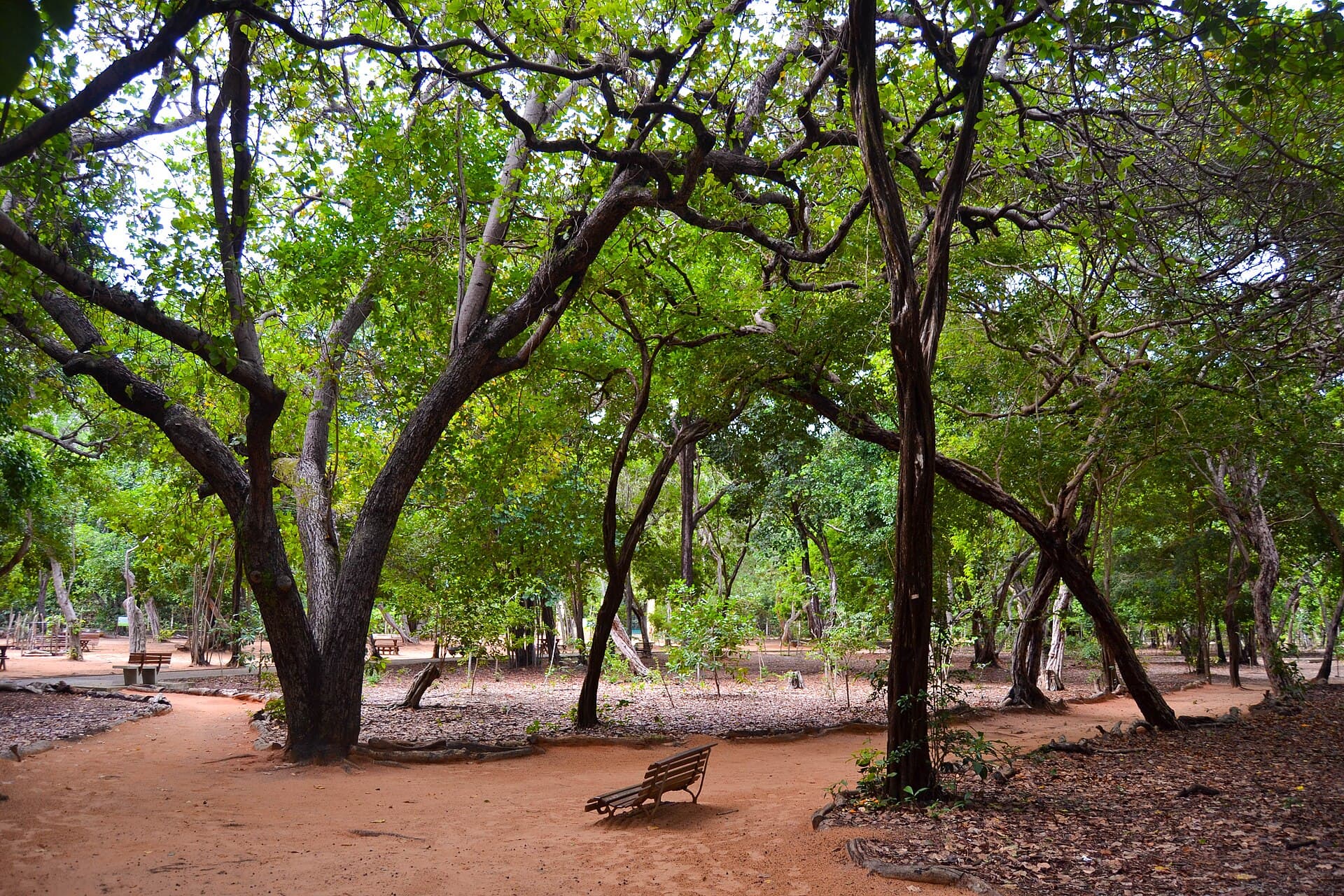 Natal Dunes State Park, Natal
