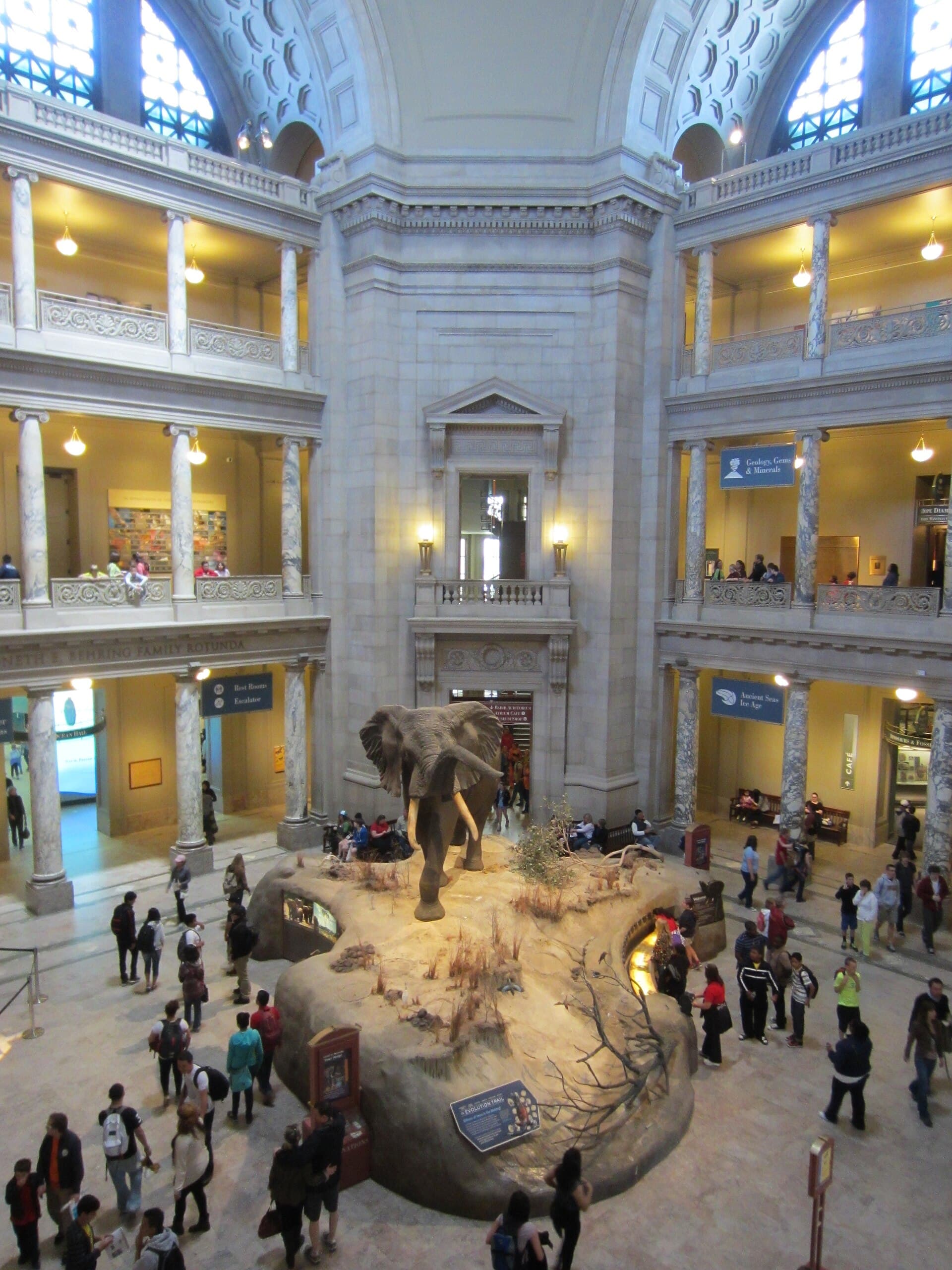National Museum of Natural History