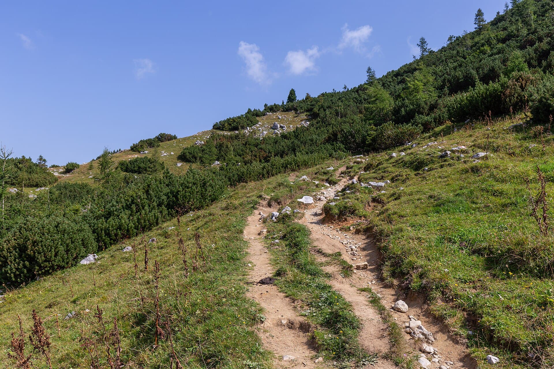 Gesäuse National Park, Styria