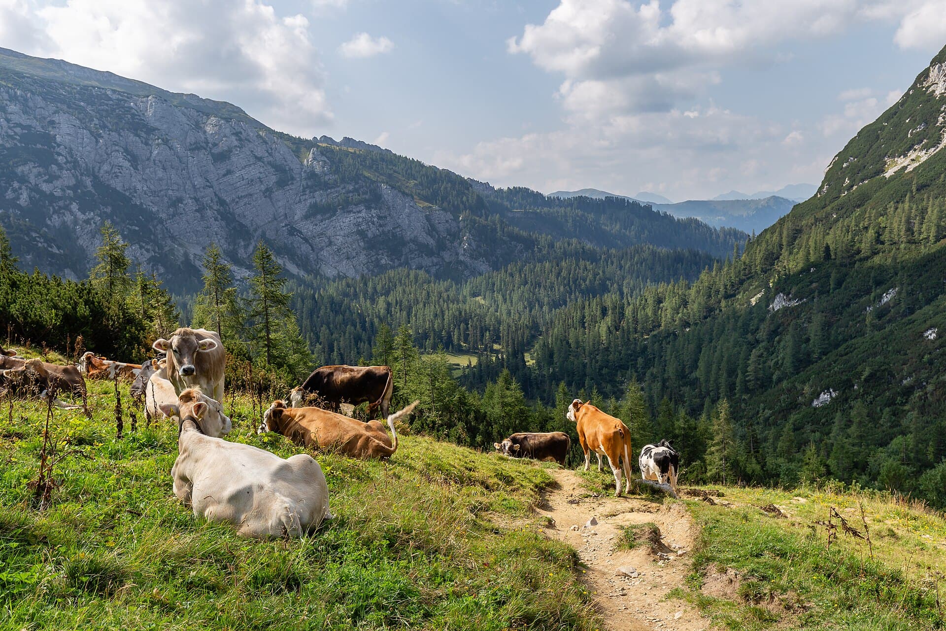 Gesäuse National Park, Styria