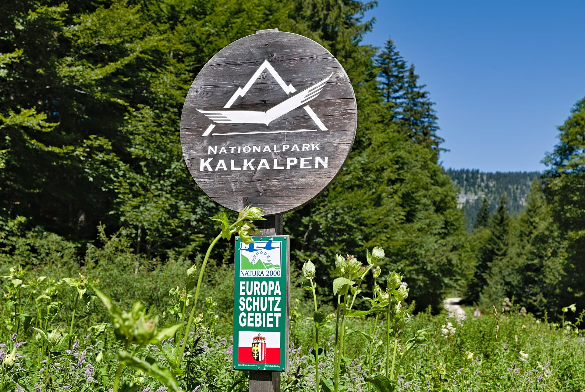 Kalkalpen National Park, Upper Austria