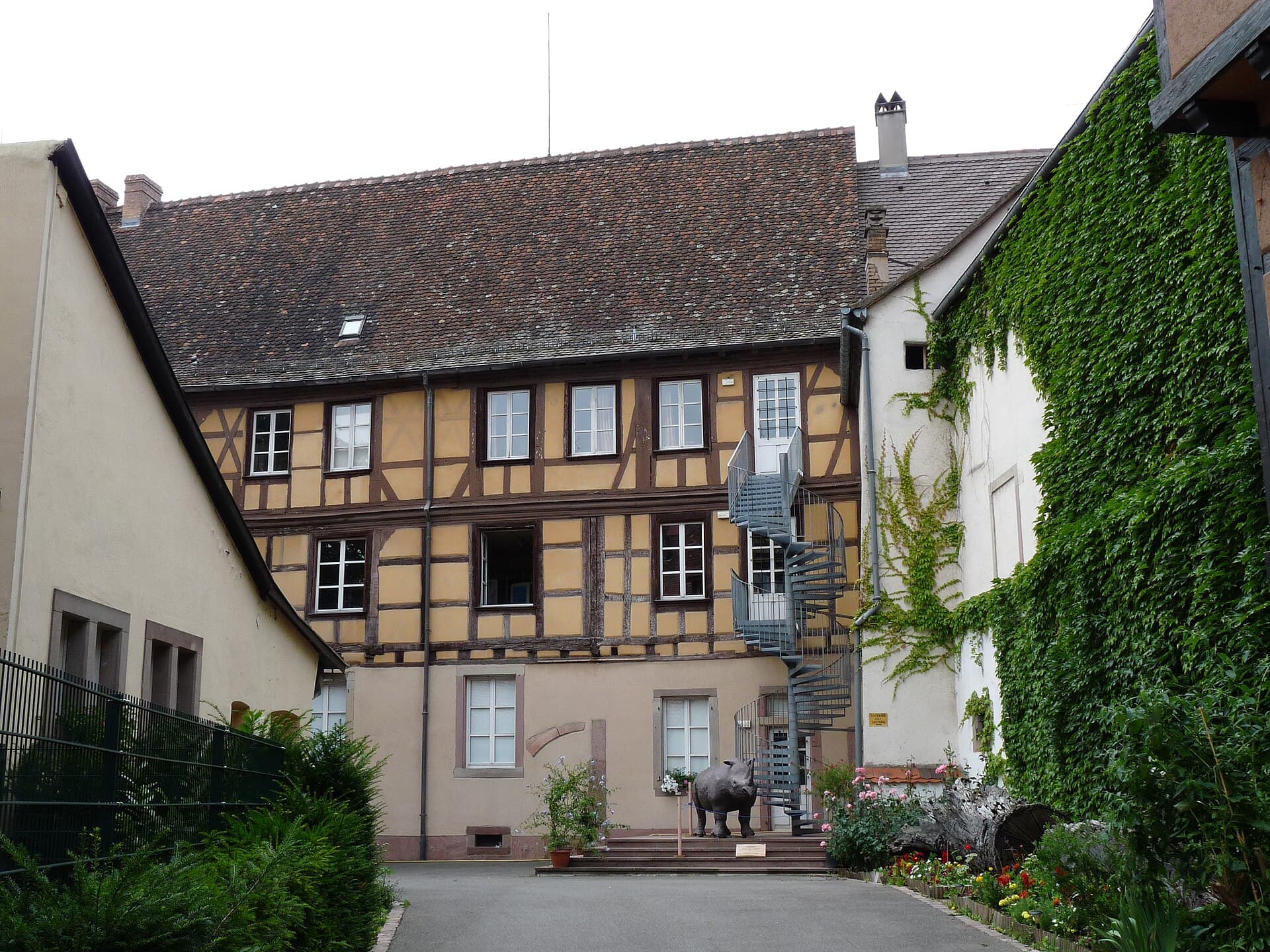 Natural History and Ethnography Museum, Colmar