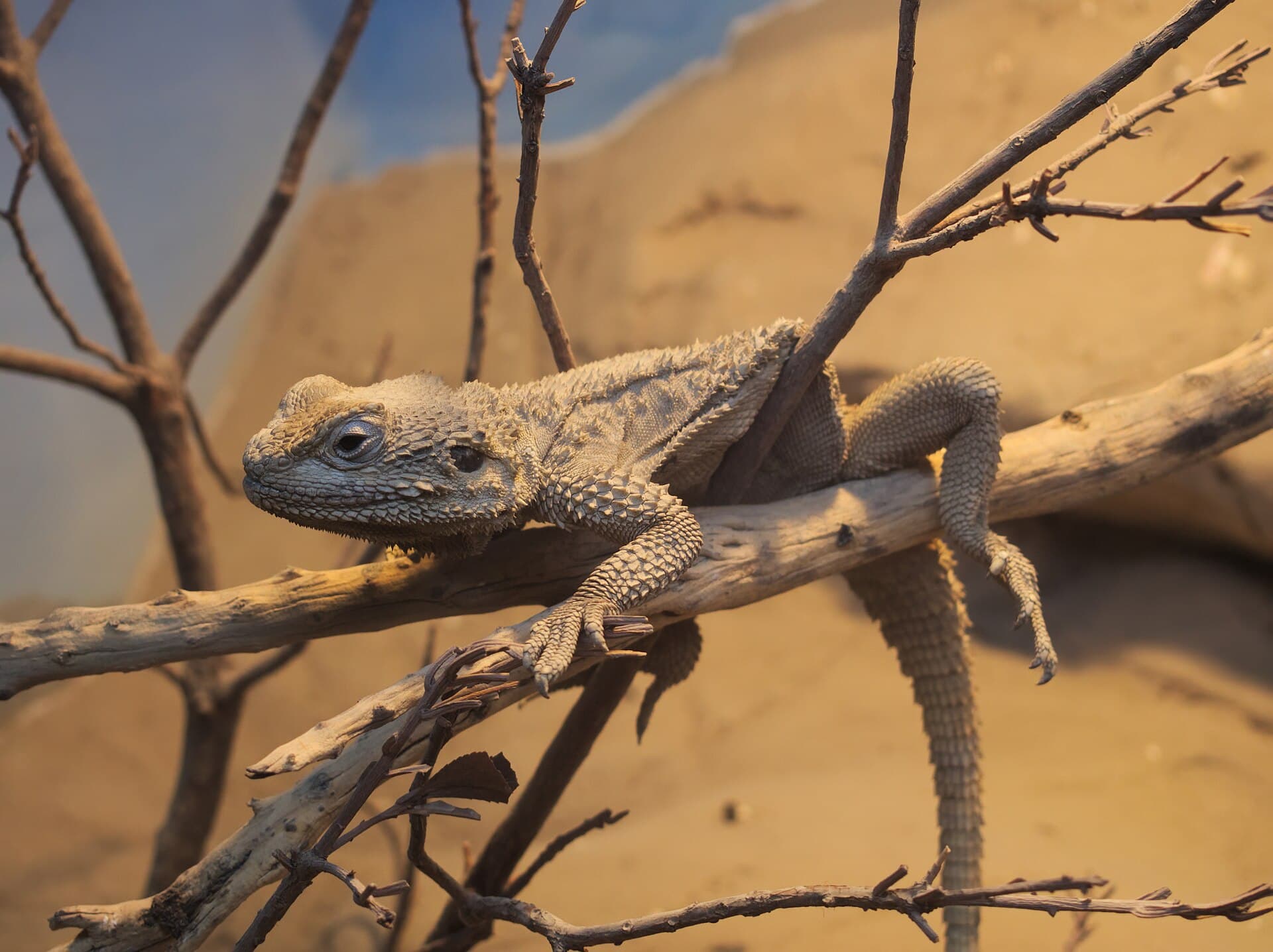 Natural History Museum of Crete, Heraklion