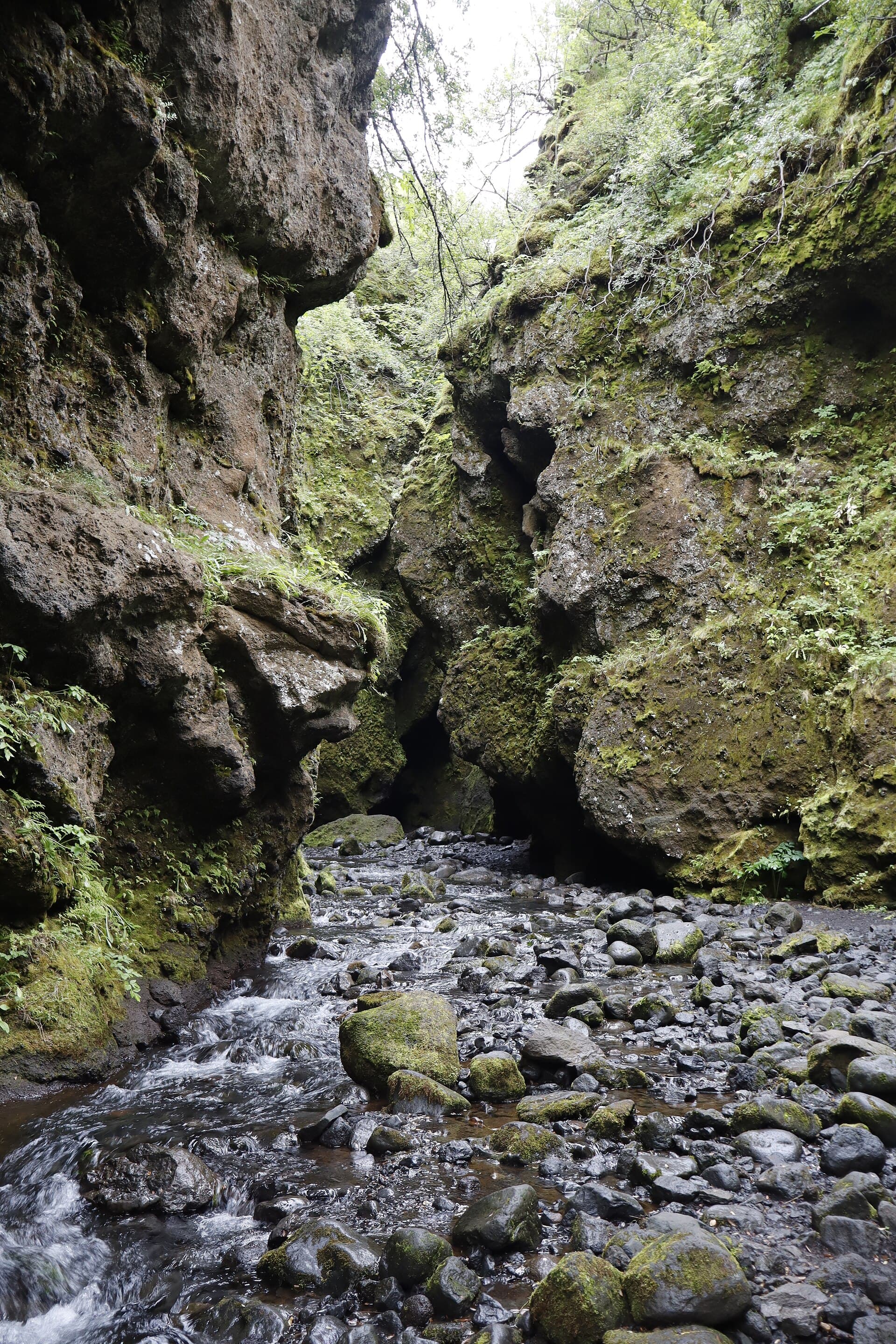 Nauthúsagil Gorge, South Iceland
