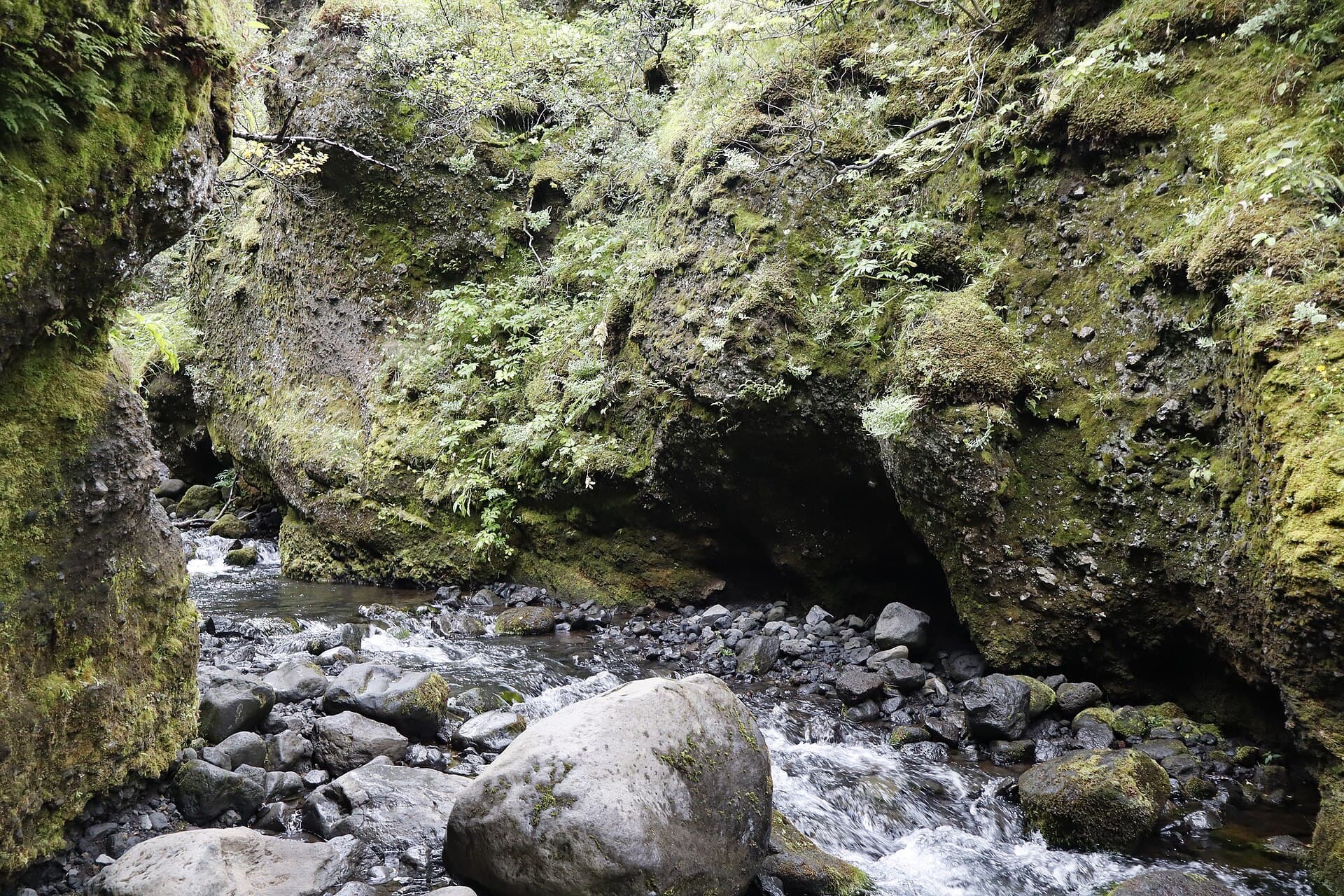 Nauthúsagil Gorge, South Iceland