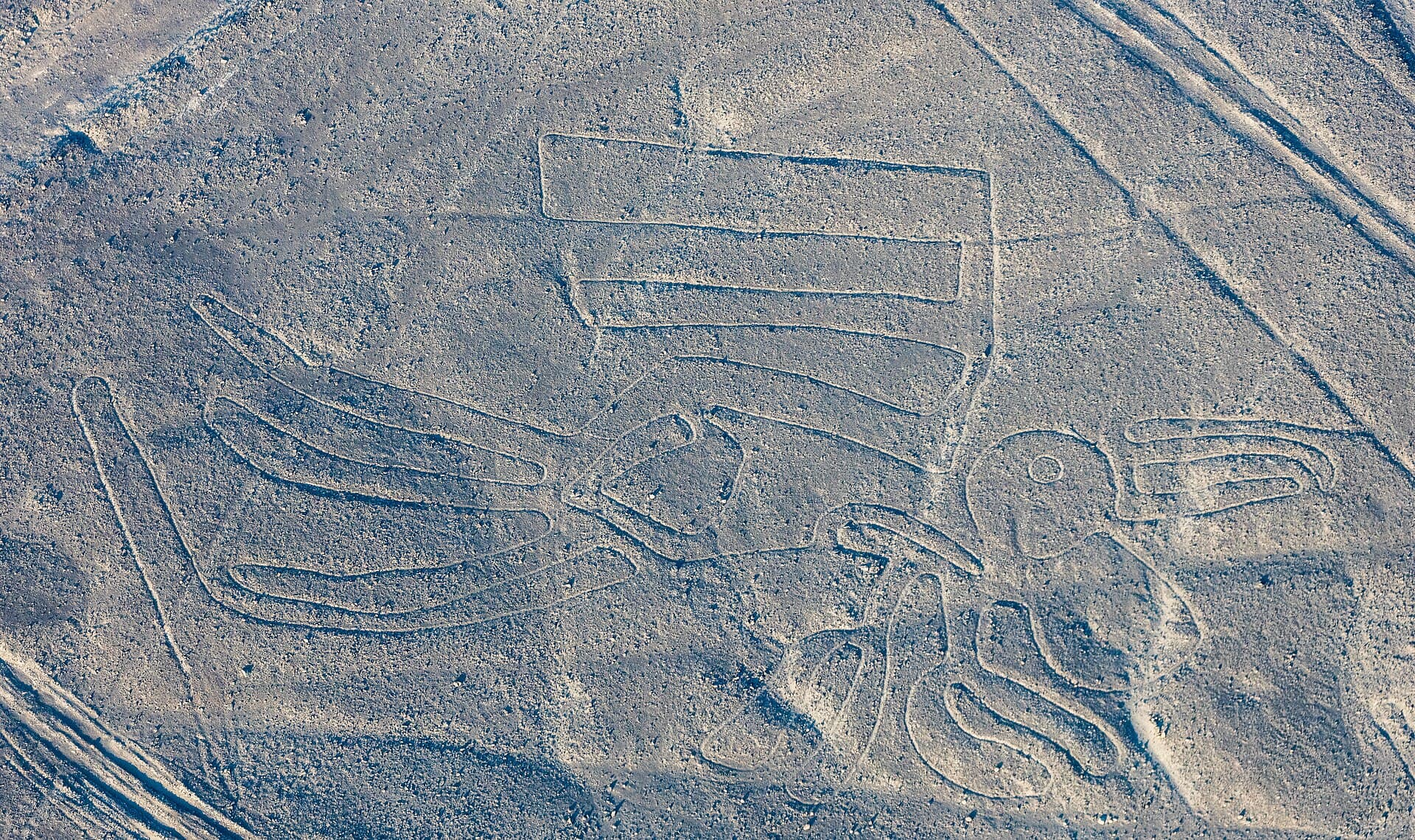 الخطوط الغامضة والطيران فوقها، نازكا