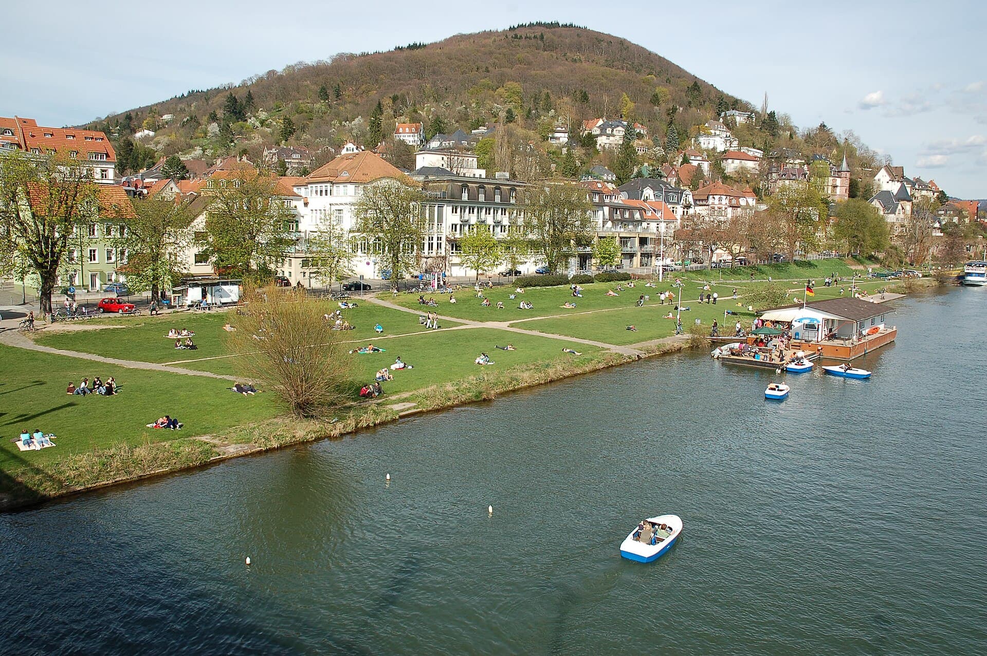 Neckarwiese, Heidelberg