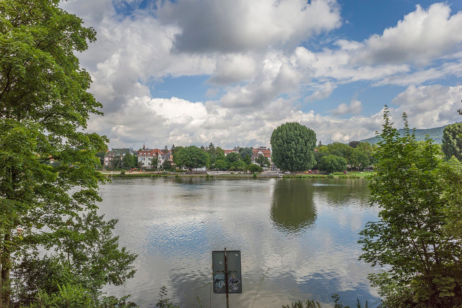 Neckarwiese, Heidelberg