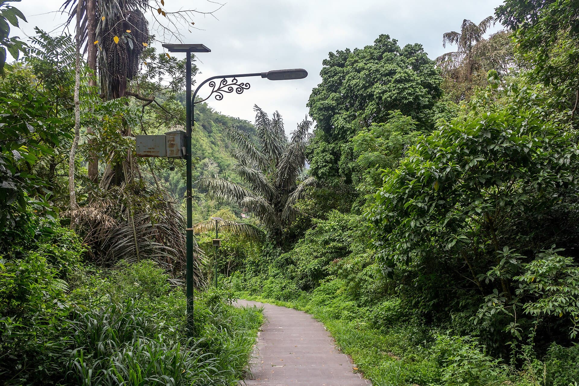 Sianok Canyon