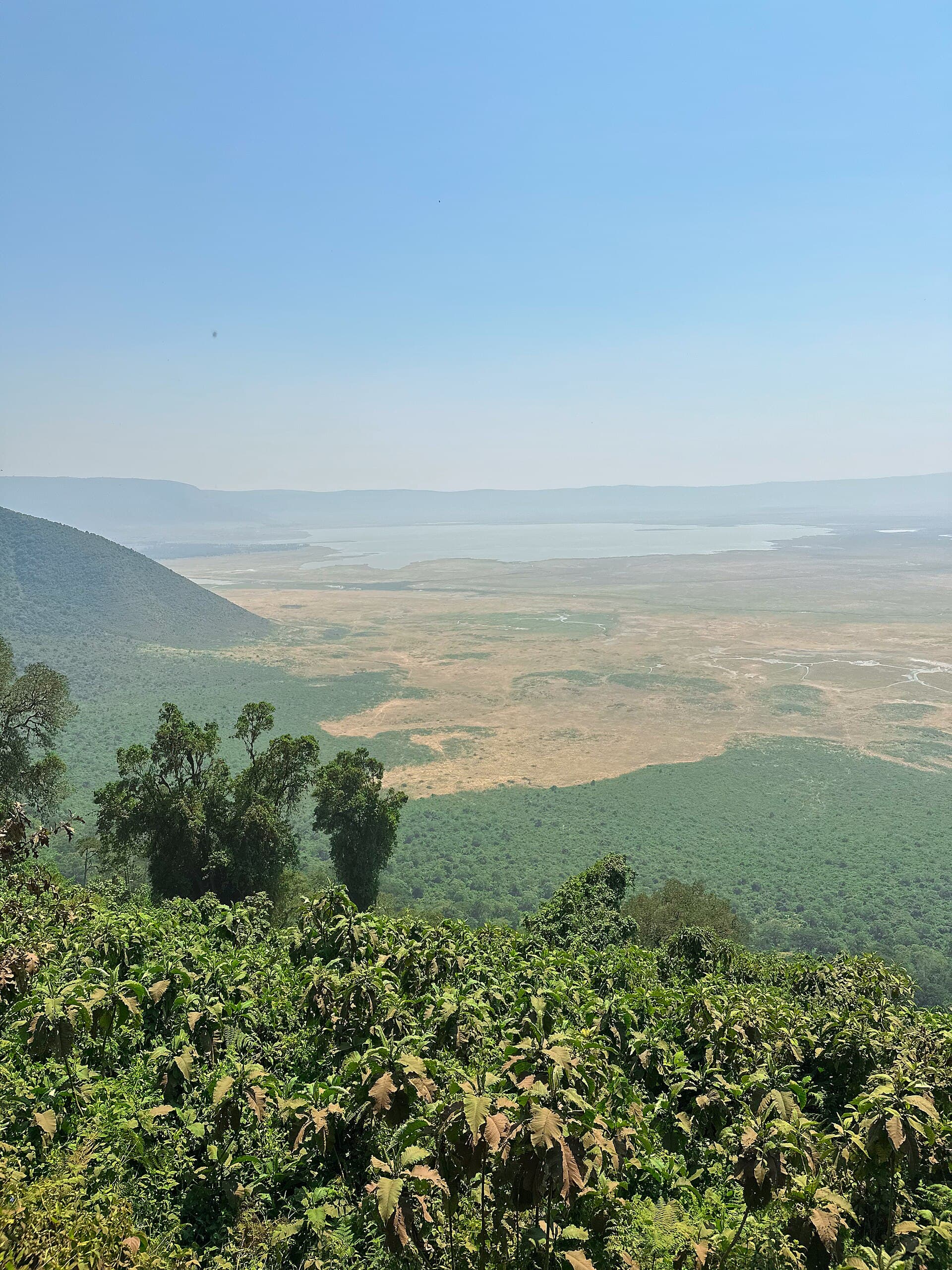 Ngorongoro Crater
