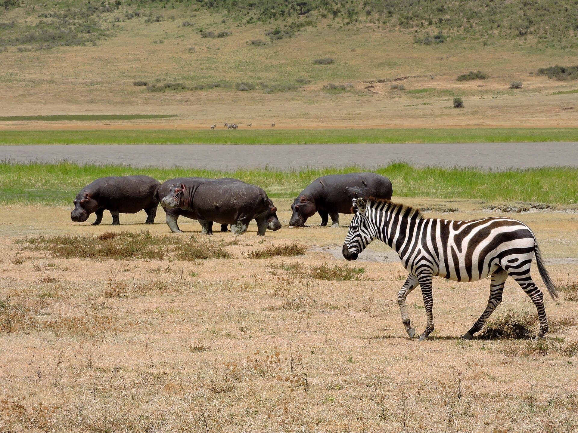 Ngorongoro Crater