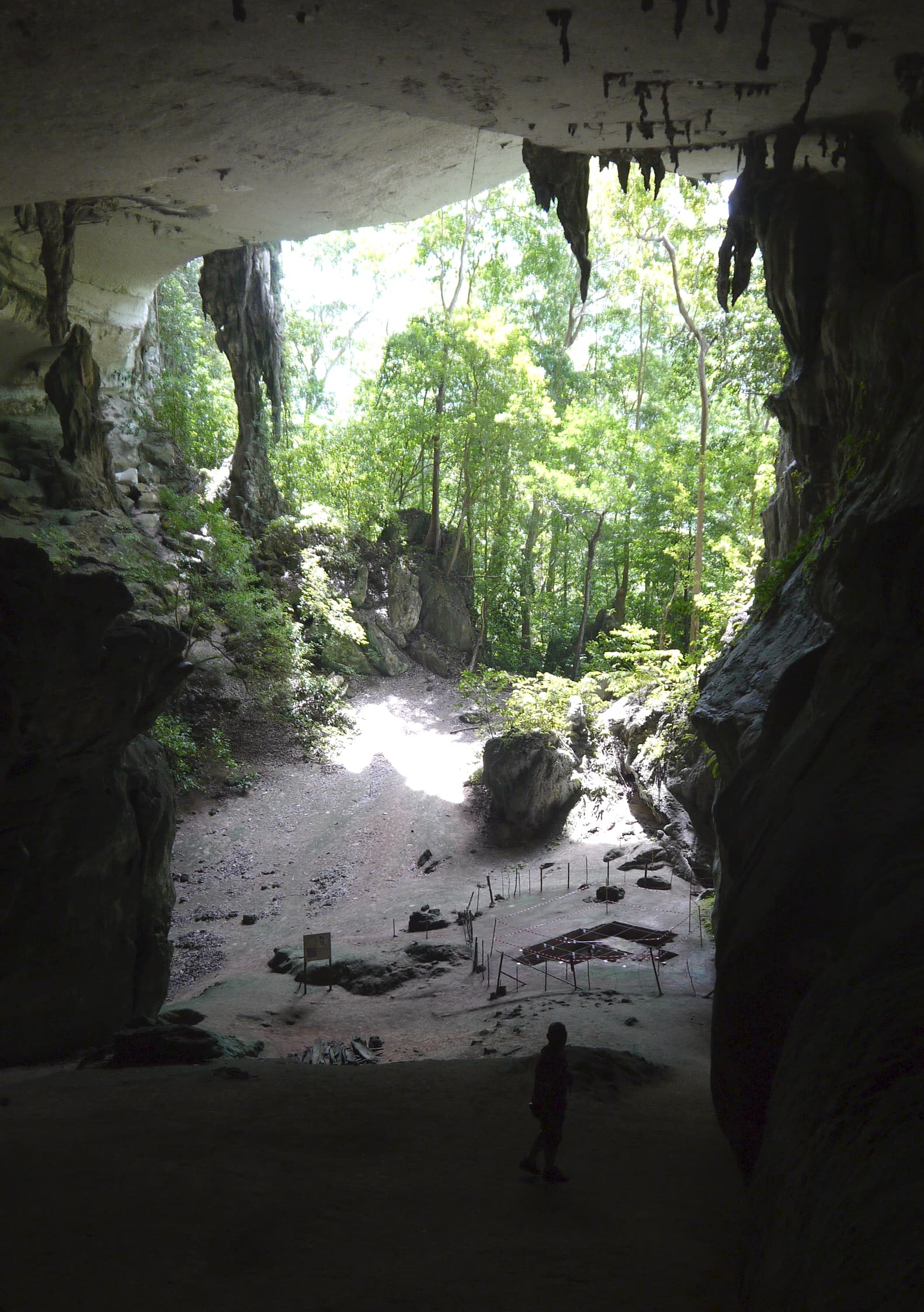 The caves of Niah National Park