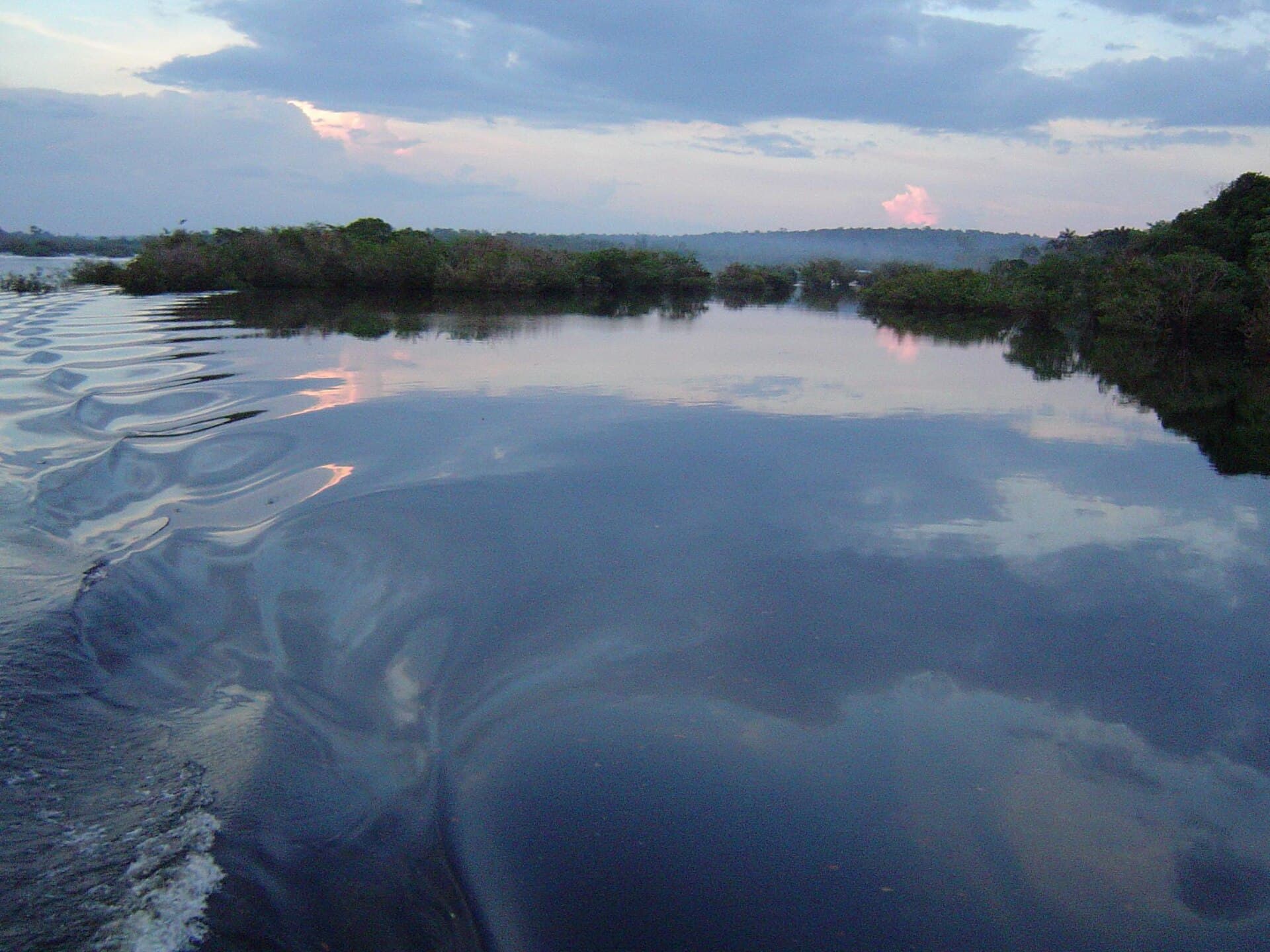 Novo Airão and the Pink River Dolphins, Novo Airão