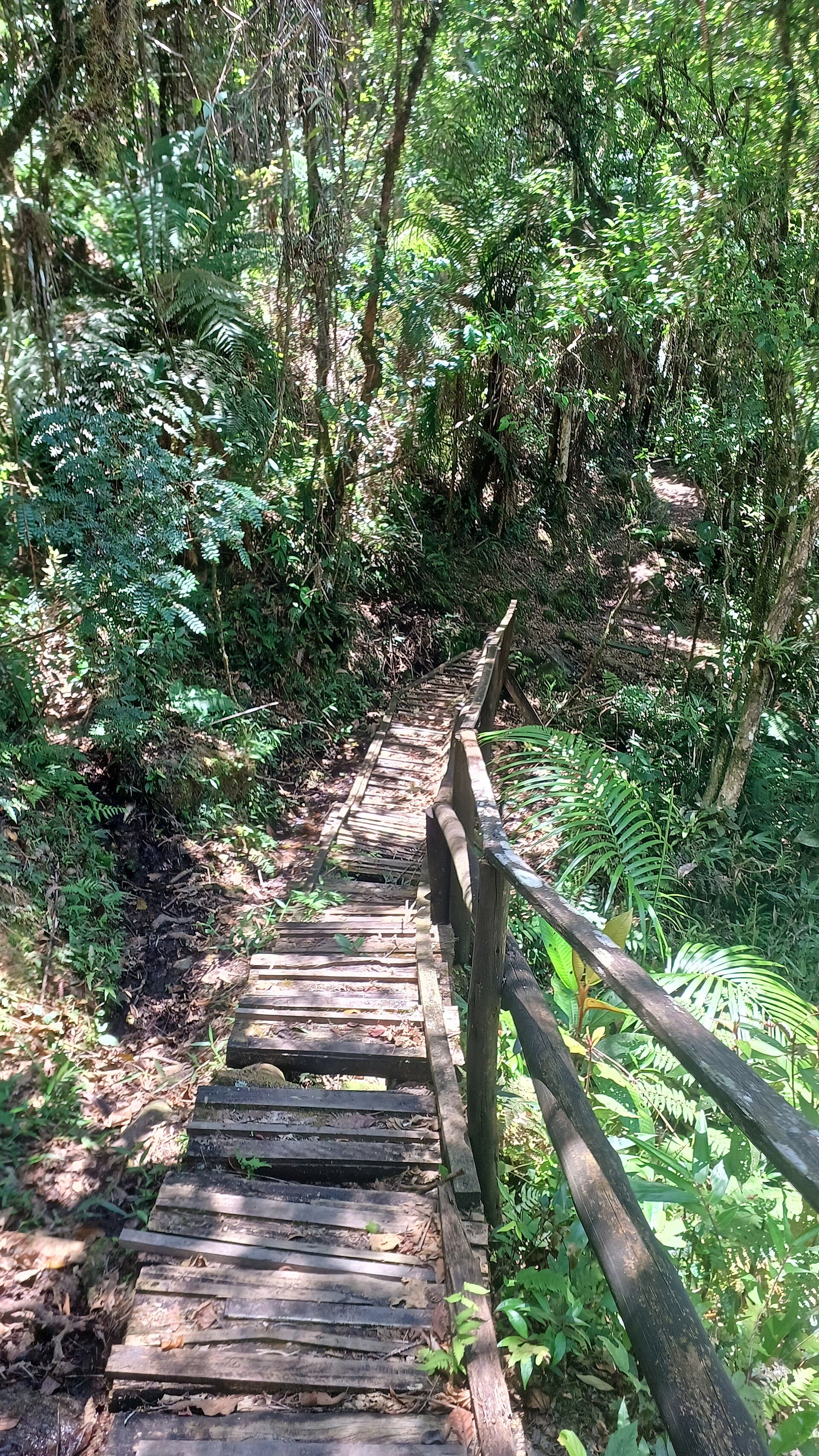 Núcleo Cunha (Serra do Mar State Park), Cunha