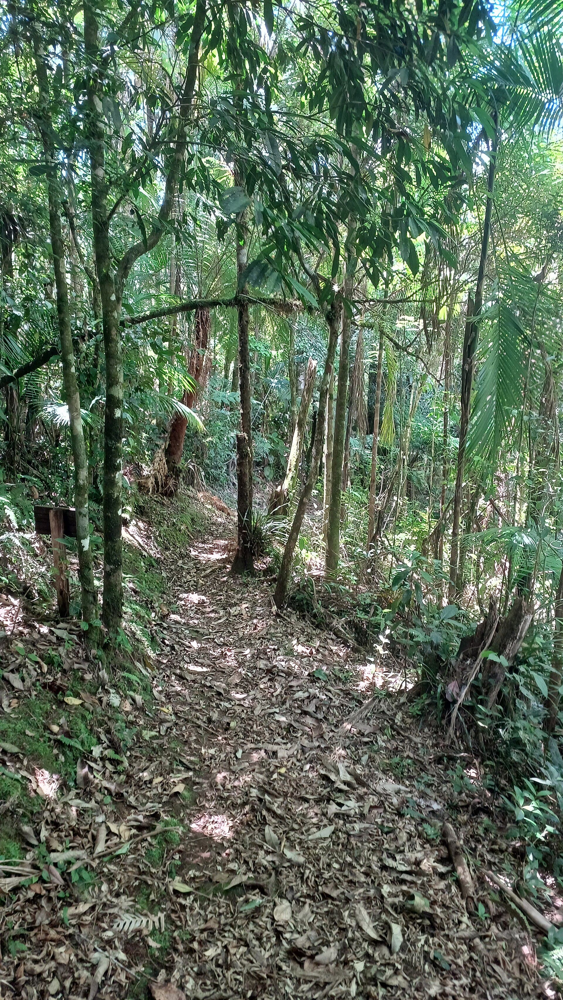 Núcleo Cunha (Serra do Mar State Park), Cunha