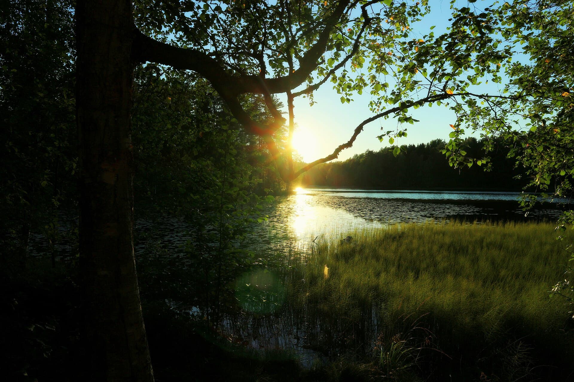 Nuuksio National Park, Helsinki