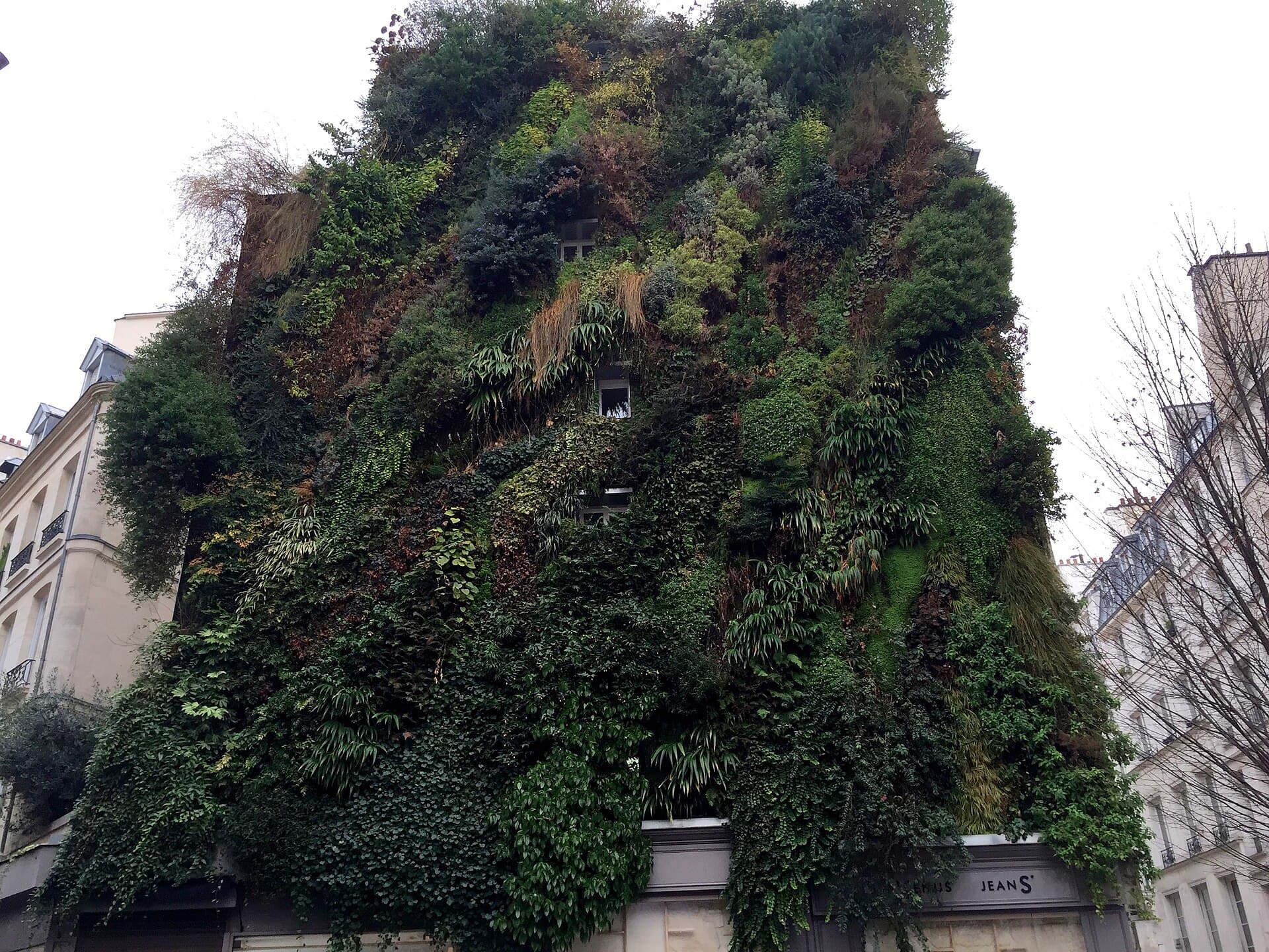 Oasis d'Aboukir, Paris