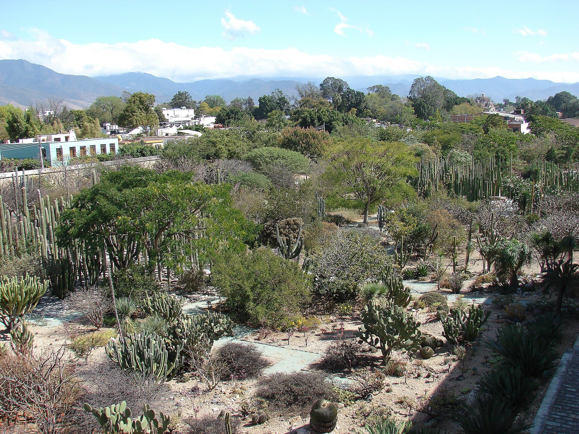 Ethnobotanical Garden, Oaxaca