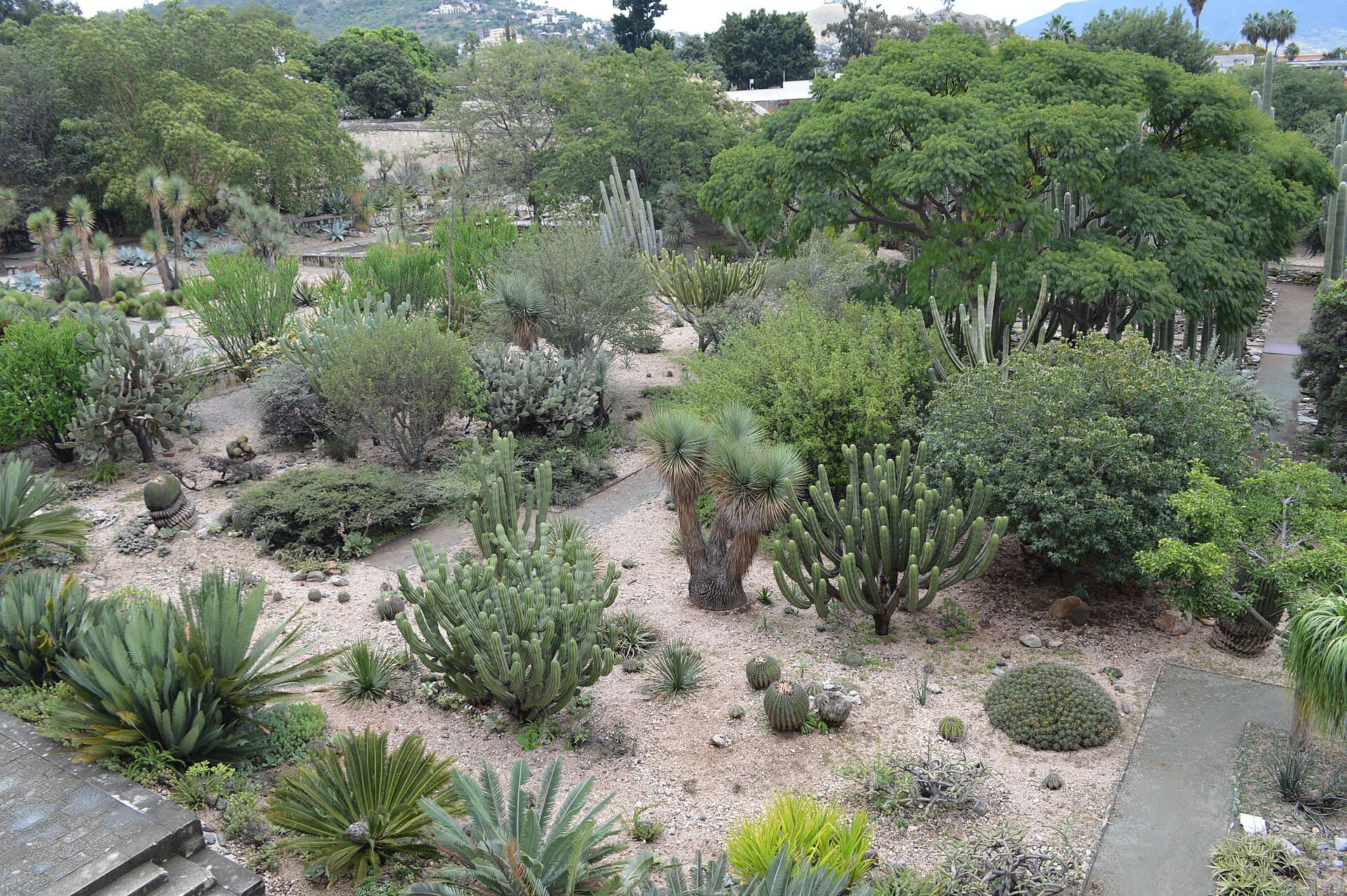 Ethnobotanical Garden, Oaxaca