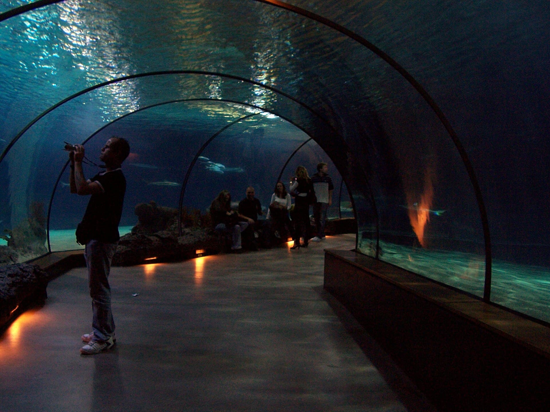The Oceanium at Blijdorp Zoo, Rotterdam