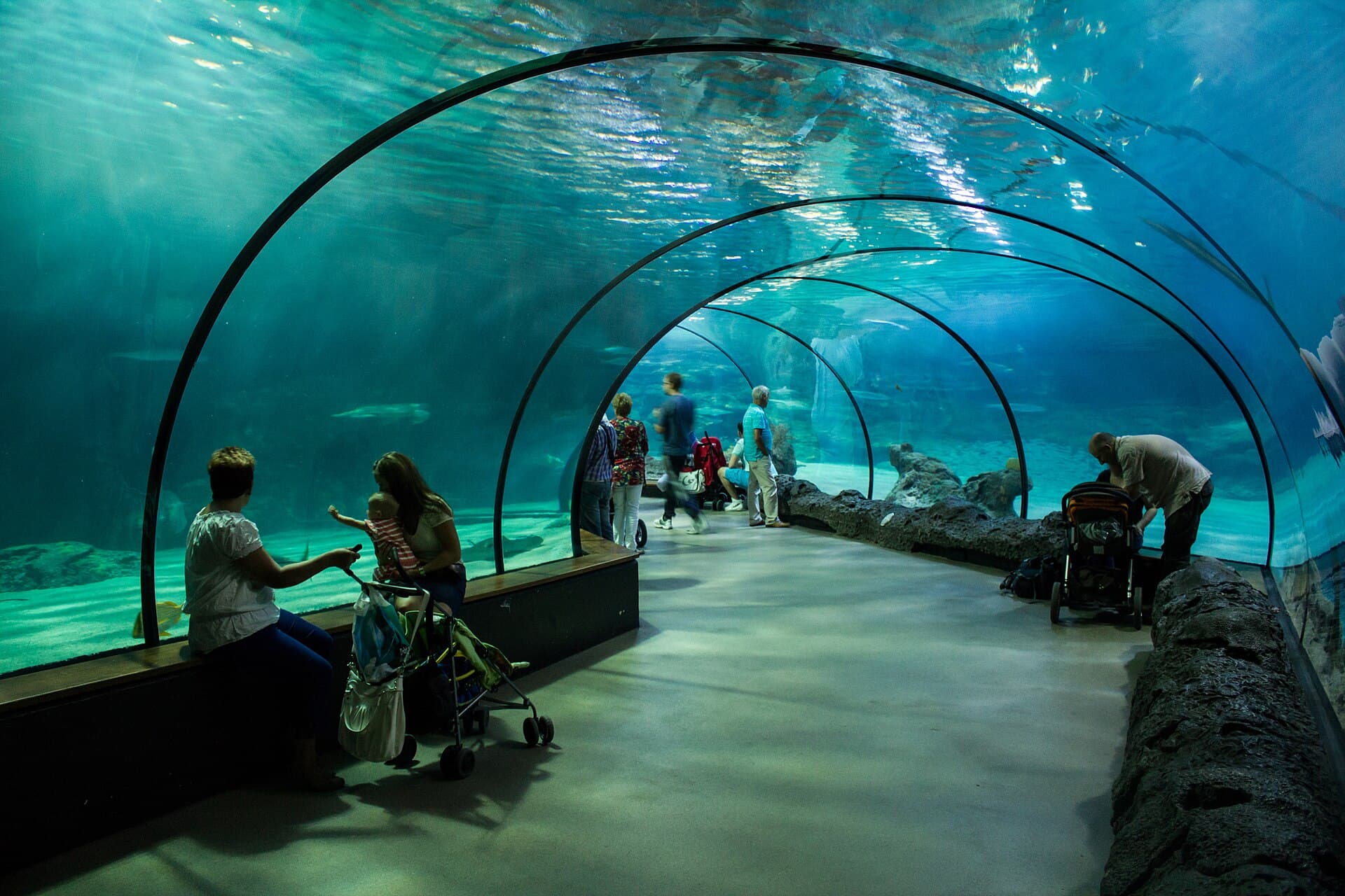 The Oceanium at Blijdorp Zoo, Rotterdam