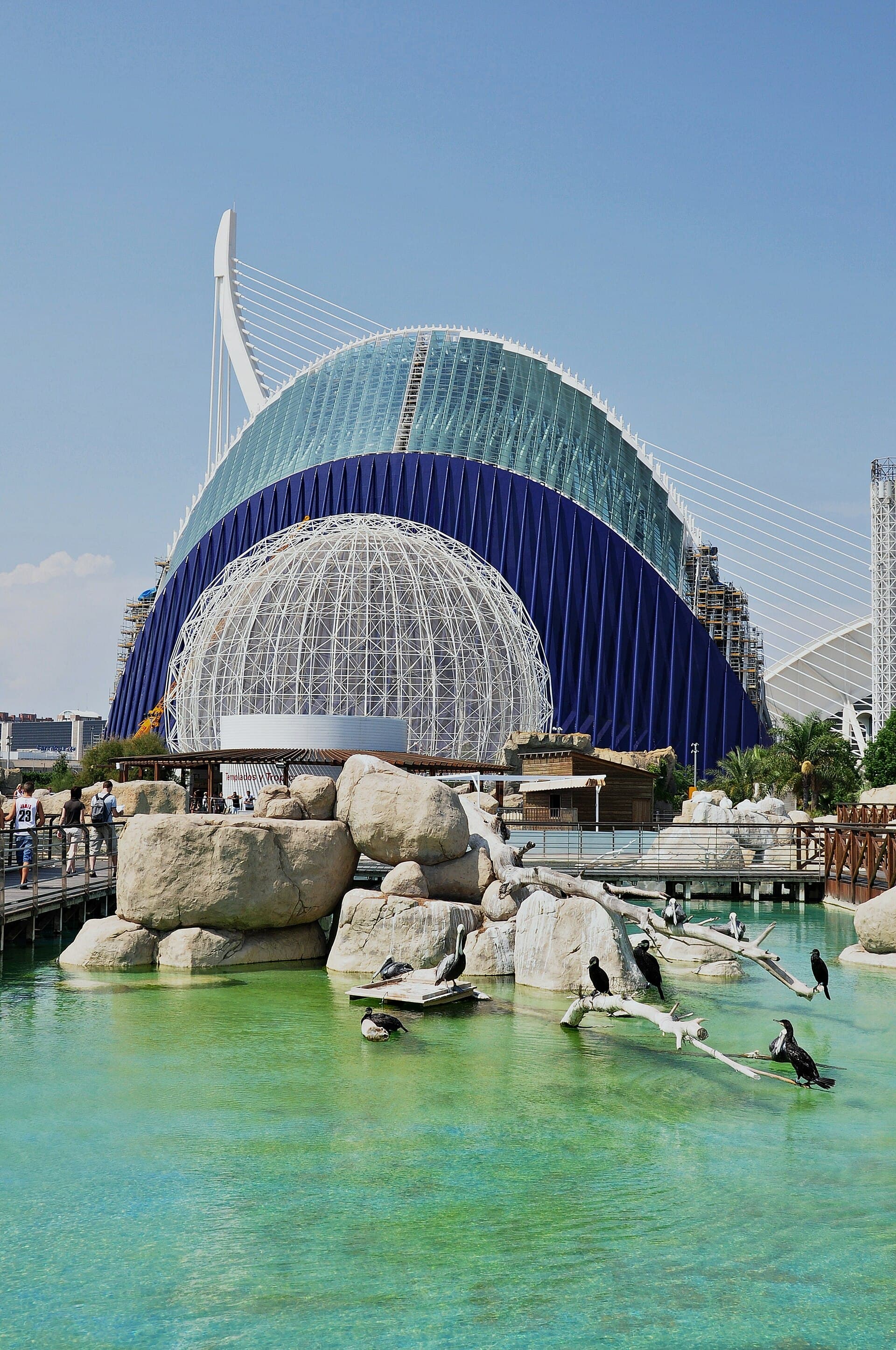 Oceanogràfic, Valencia