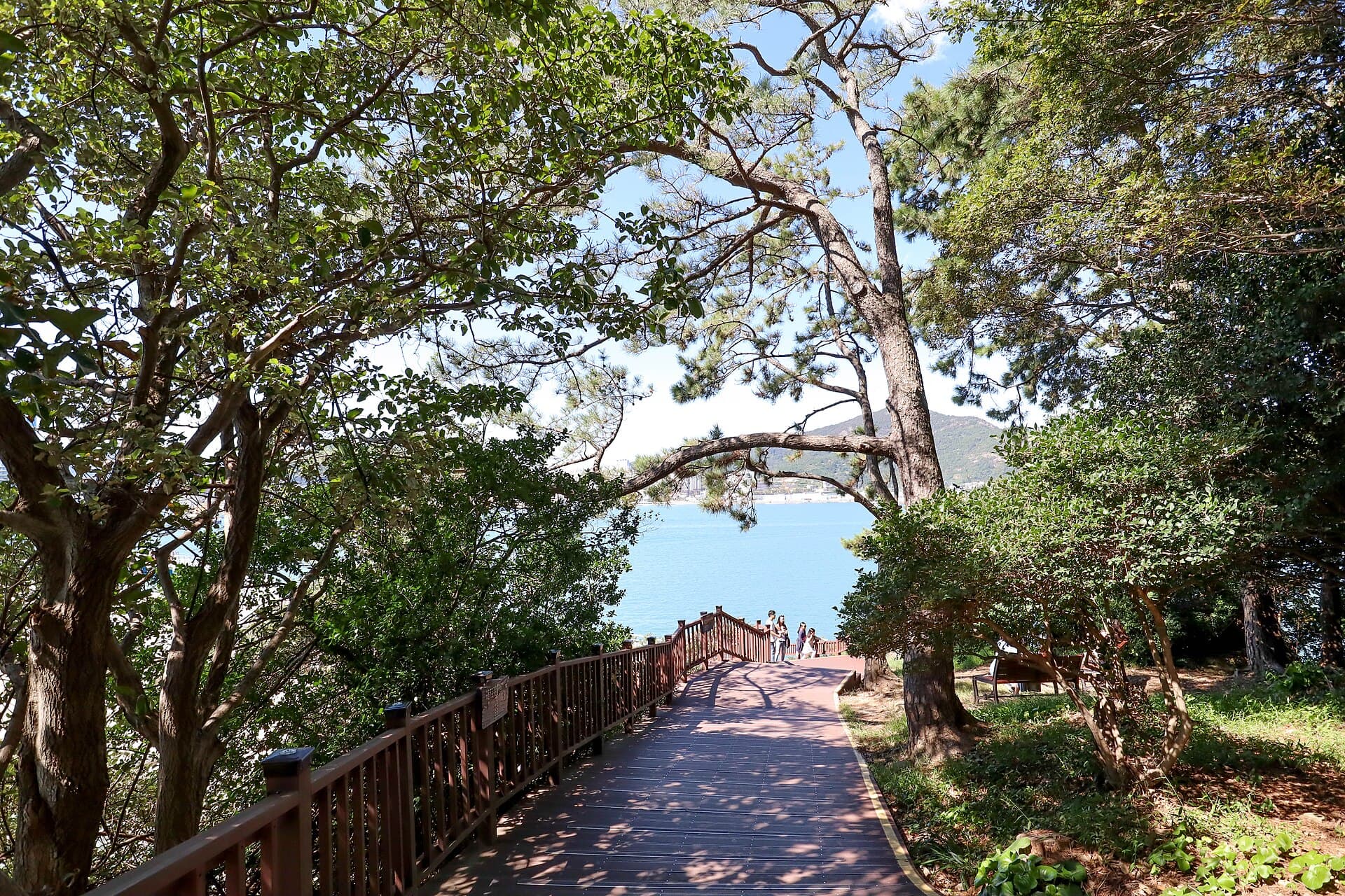 Odongdo Island, Yeosu