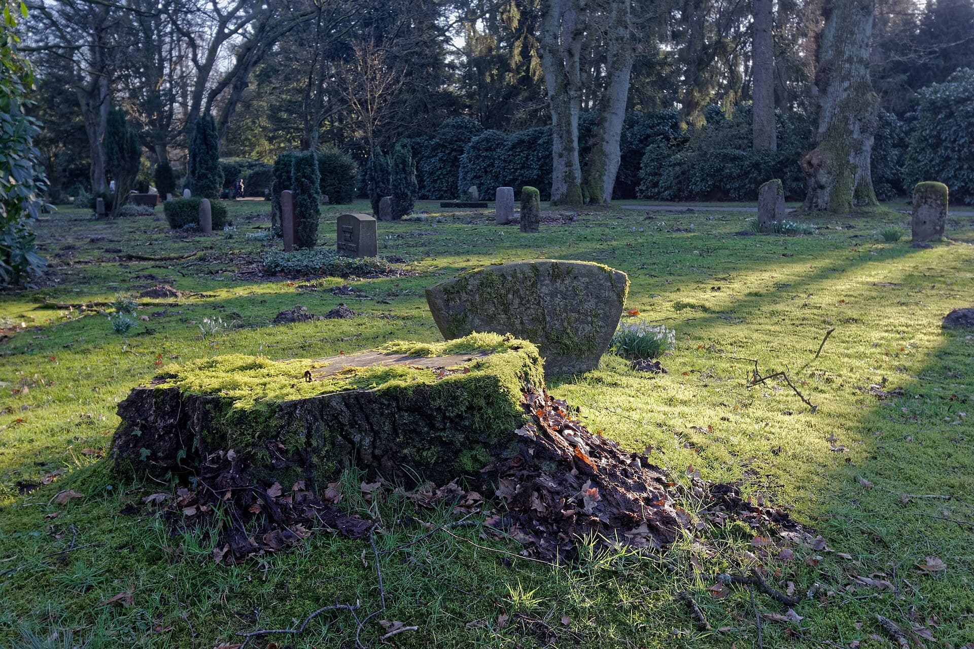 Ohlsdorf Cemetery, Hamburg