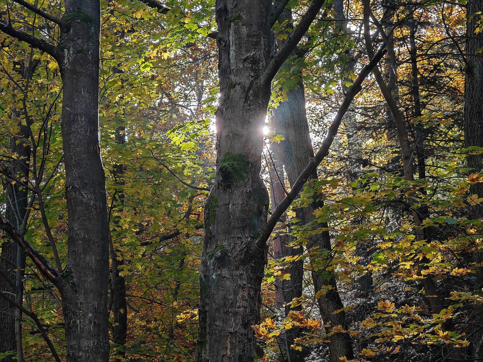 Ojców National Park, Ojców