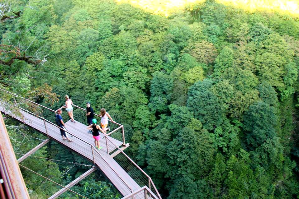 Okatse Canyon and Hanging Walkway