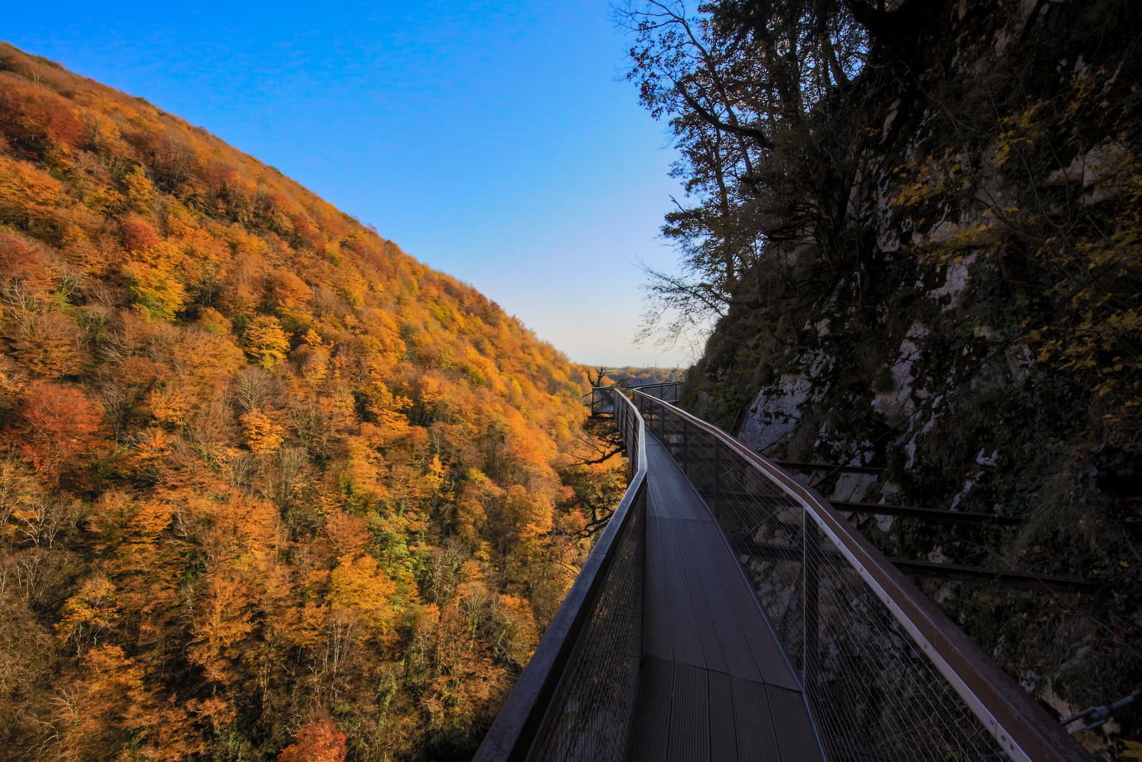 Okatse Canyon and Hanging Walkway