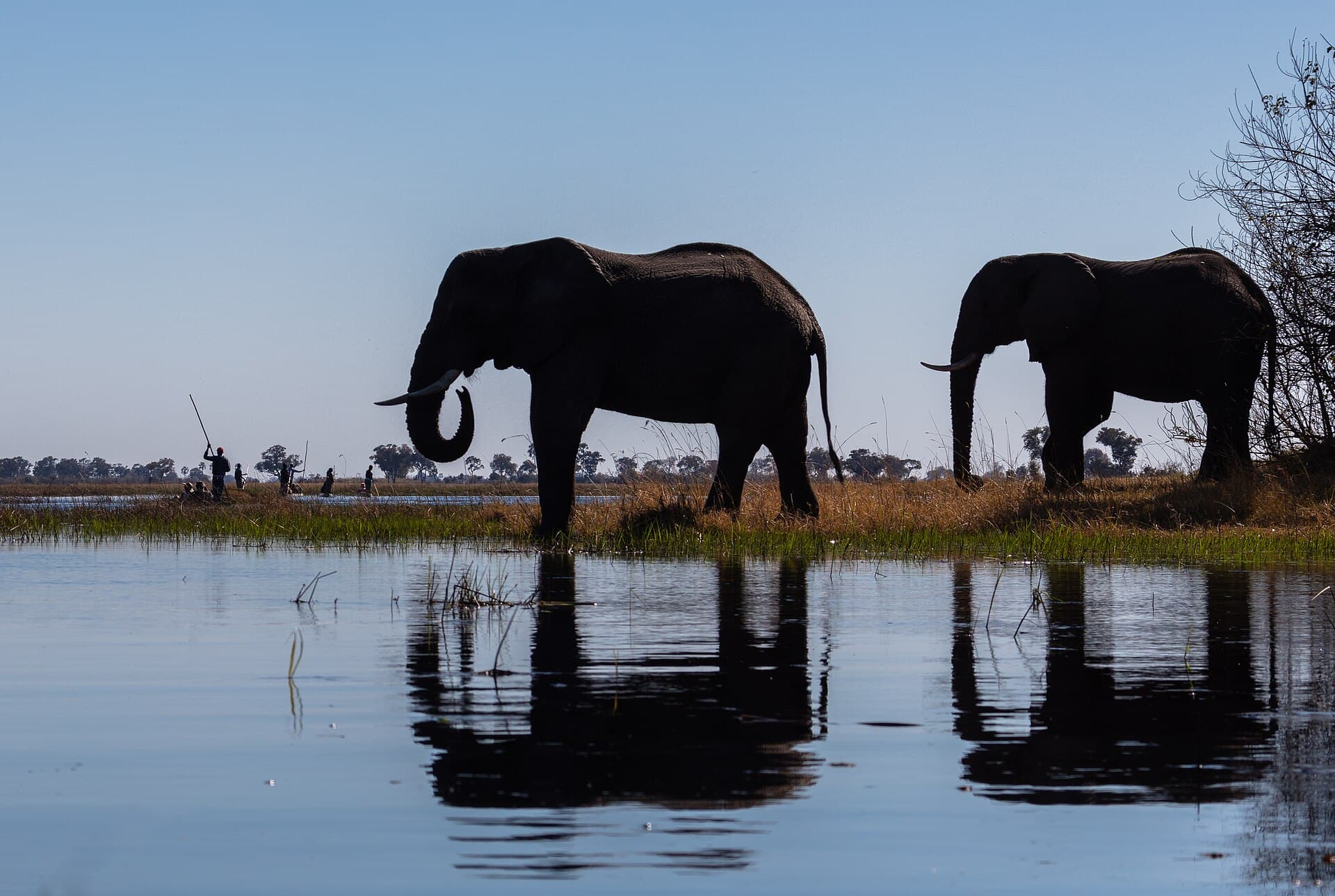 Okavango Delta