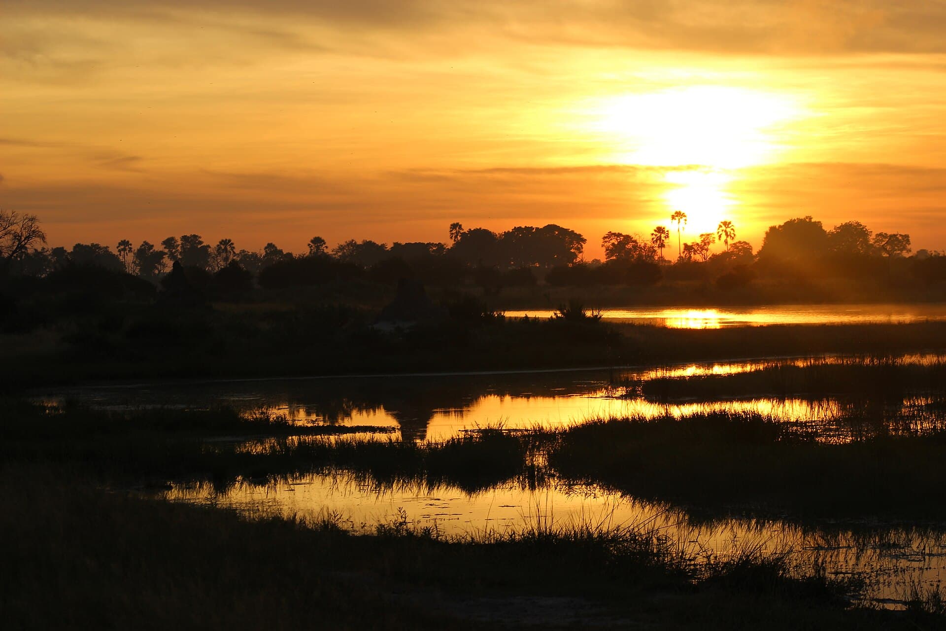 Okavango Delta