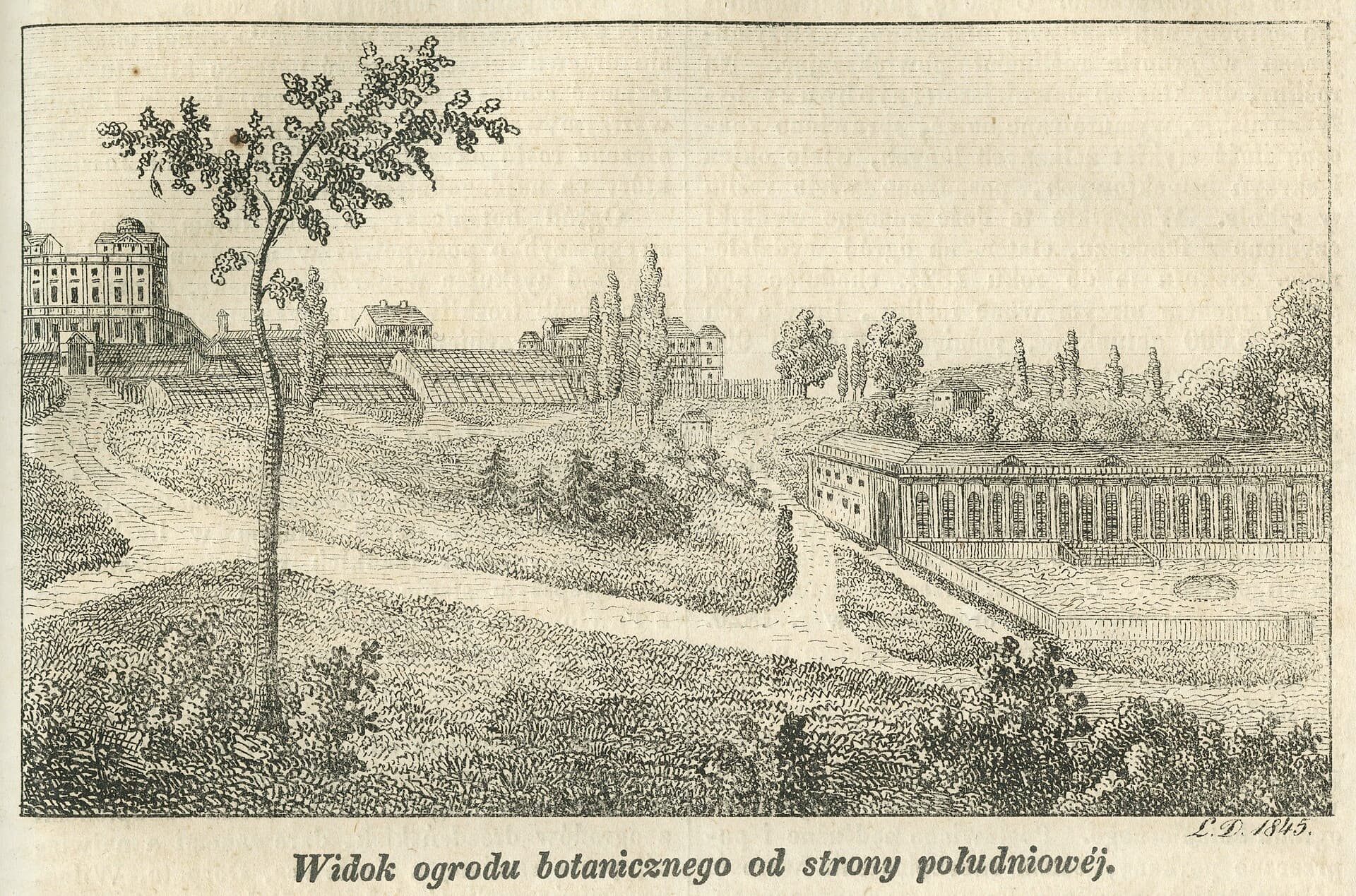 The Old Orangery and Royal Theatre, Warsaw