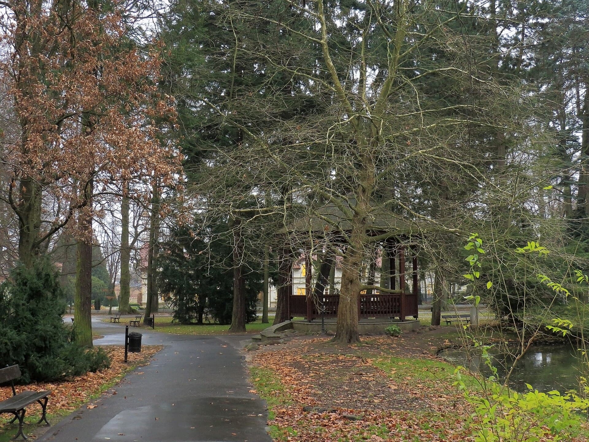 Oliwa Park, Gdańsk