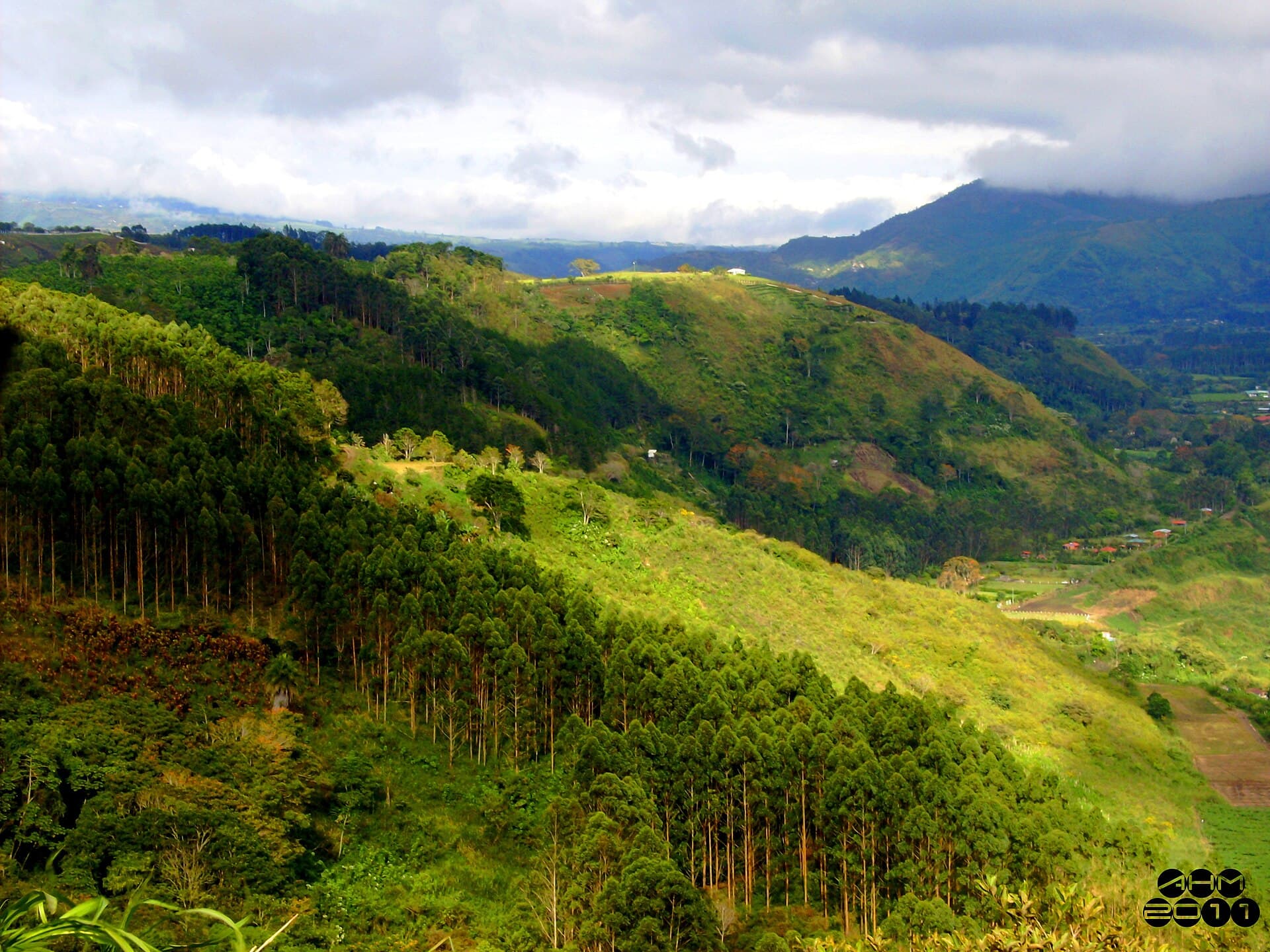 Orosi Valley