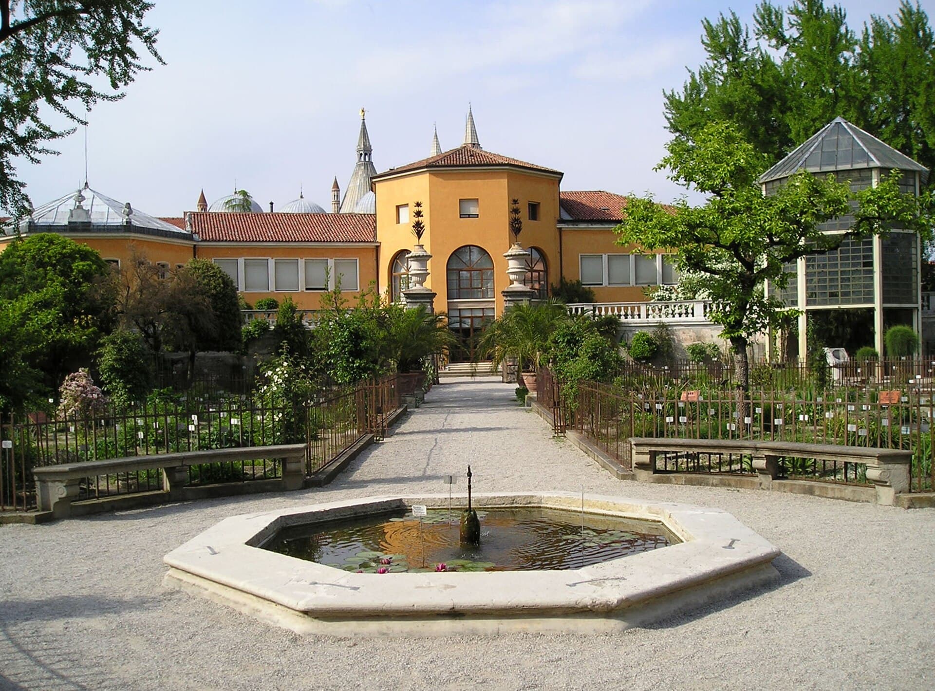 The Botanical Garden, Padua