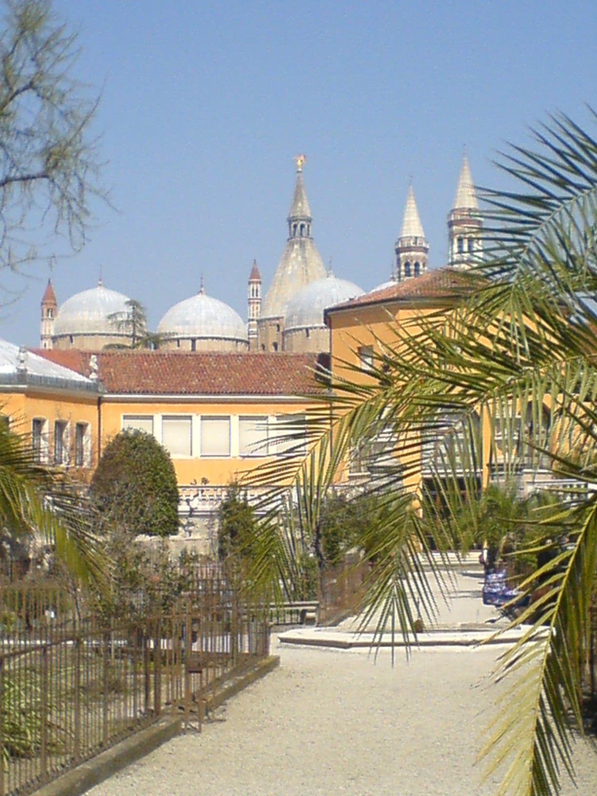 The Botanical Garden, Padua