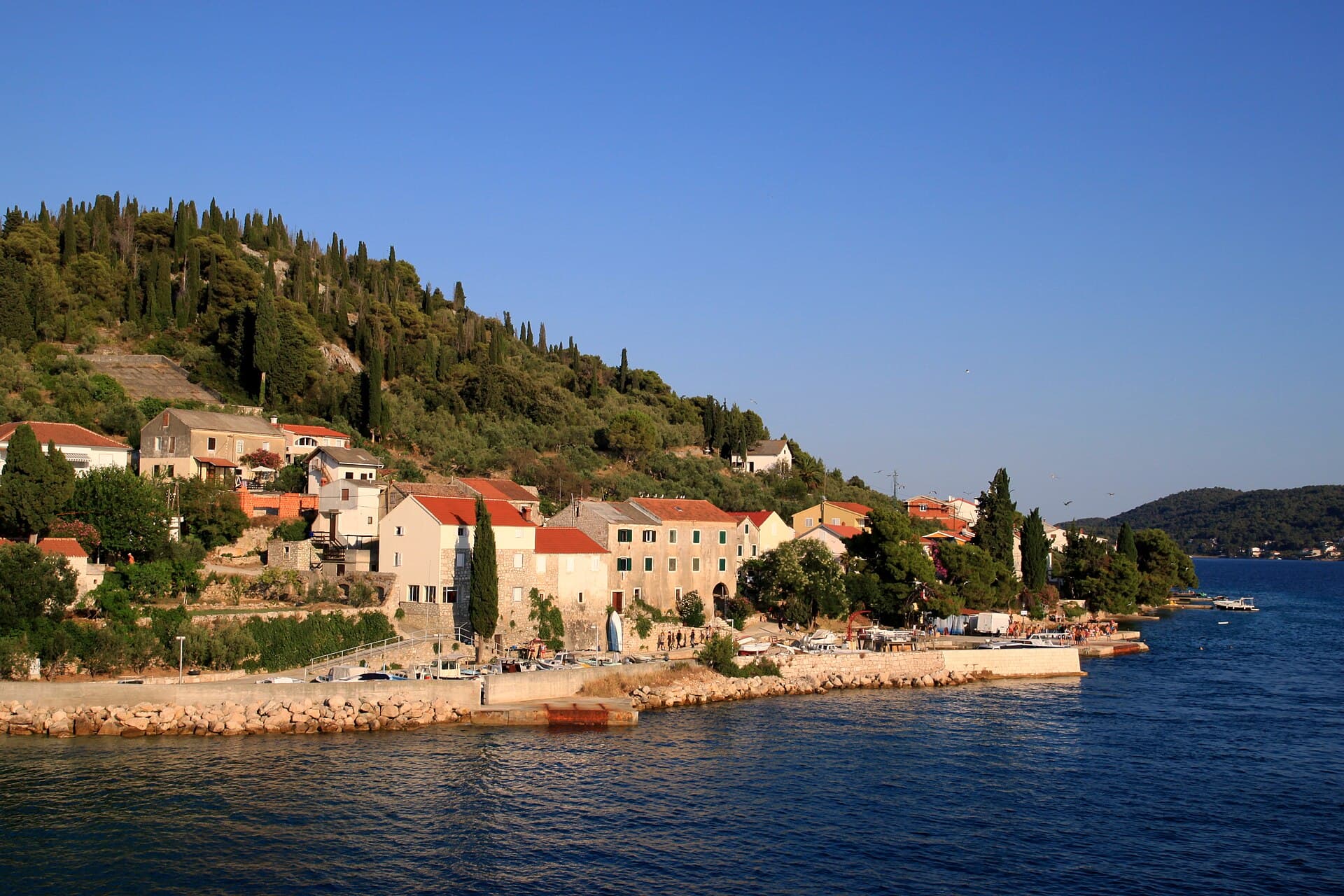 Ošljak Island, Ošljak