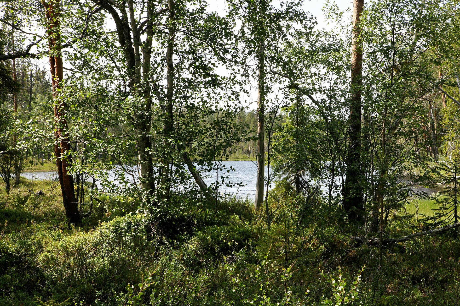 Oulanka National Park, Kuusamo