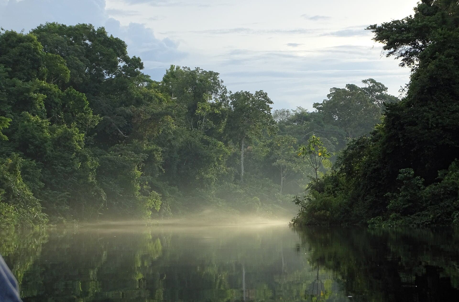 Pacaya-Samiria National Reserve