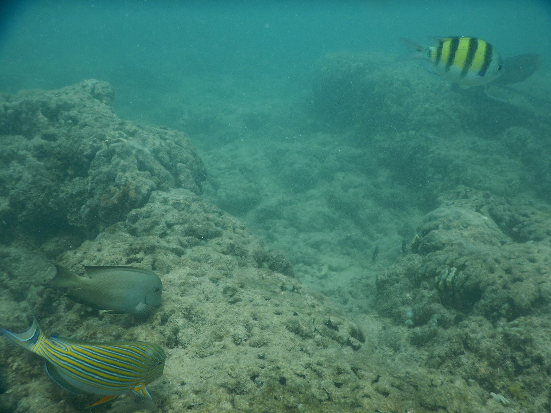 Pagang island off Padang