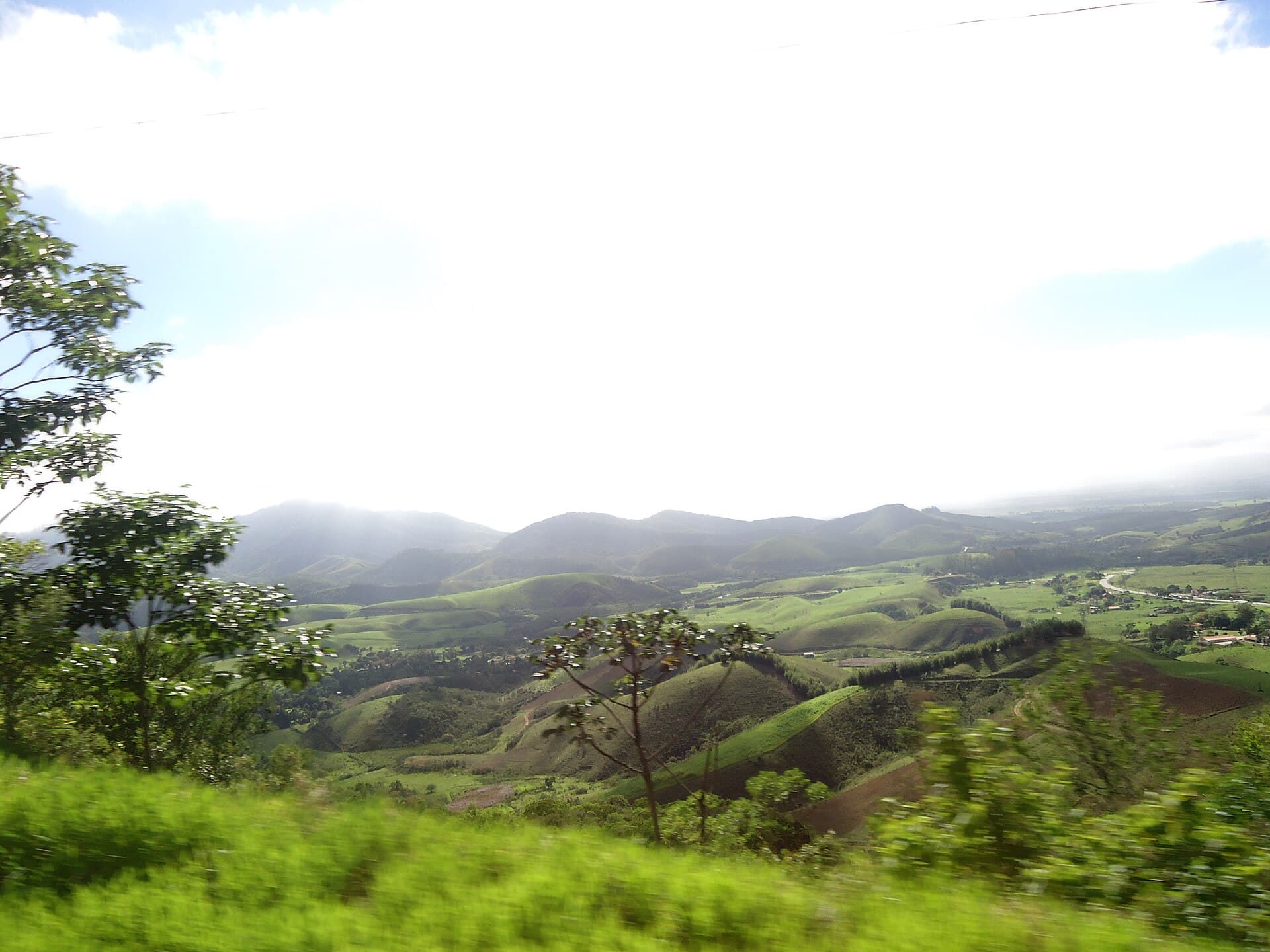 Palmácia, Palmácia