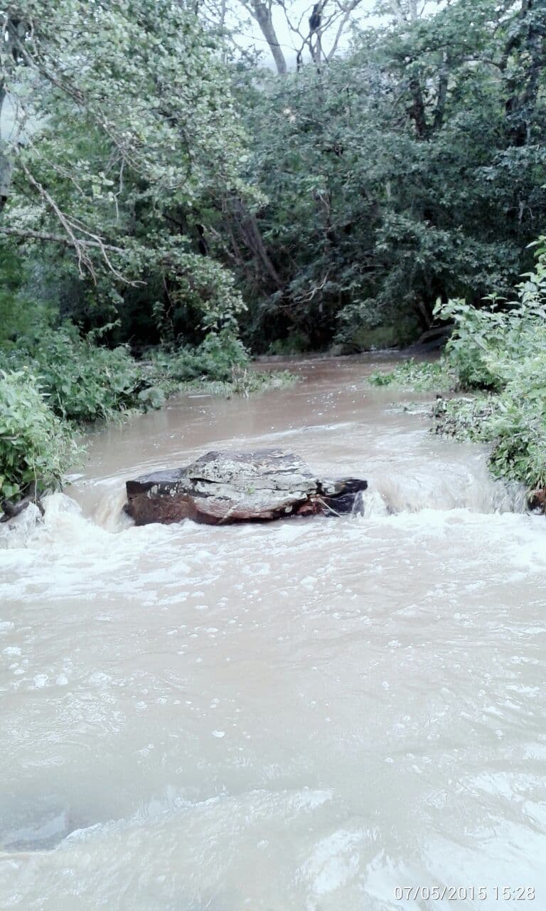 Palmácia, Palmácia