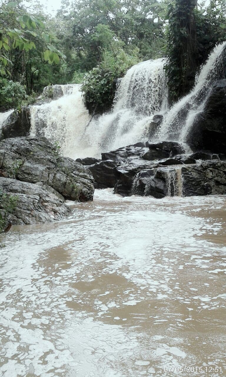 Palmácia, Palmácia