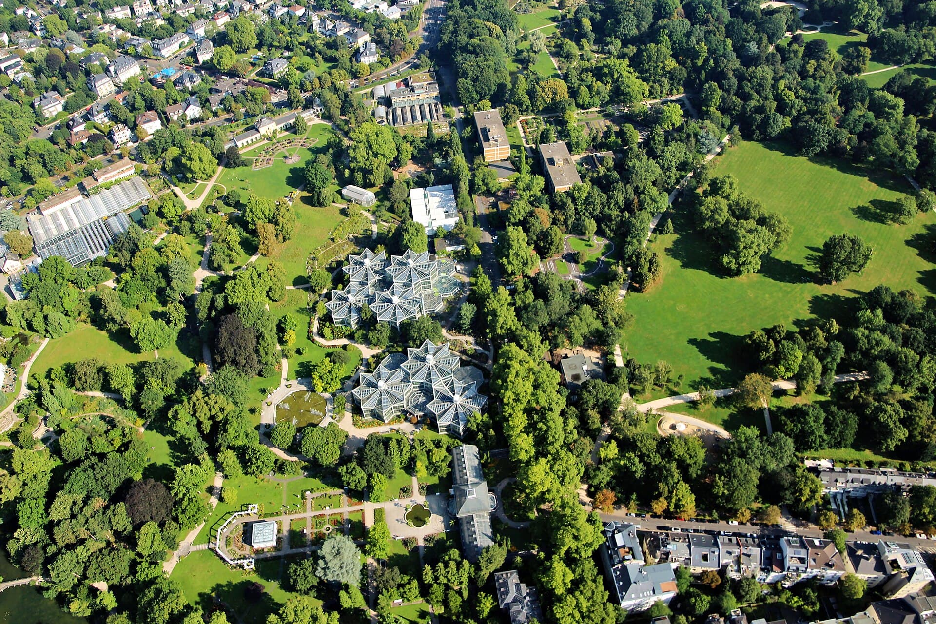 Palmengarten