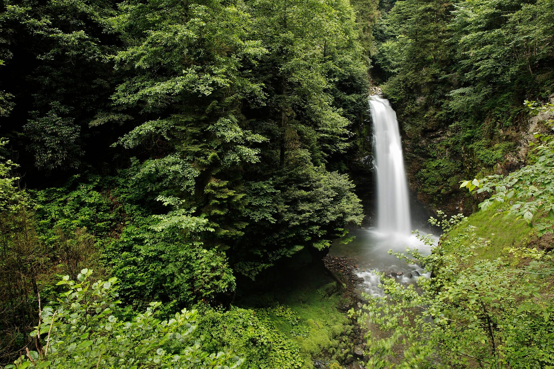 Palovit Waterfall, Rize