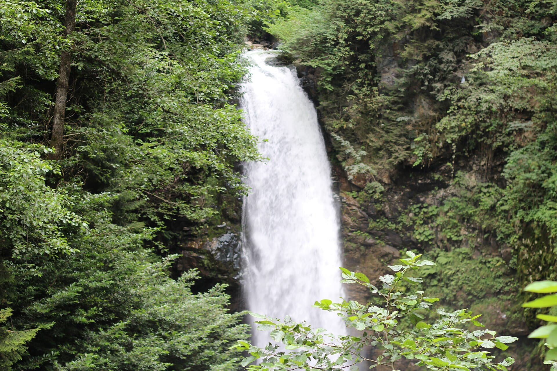 Palovit Waterfall, Rize