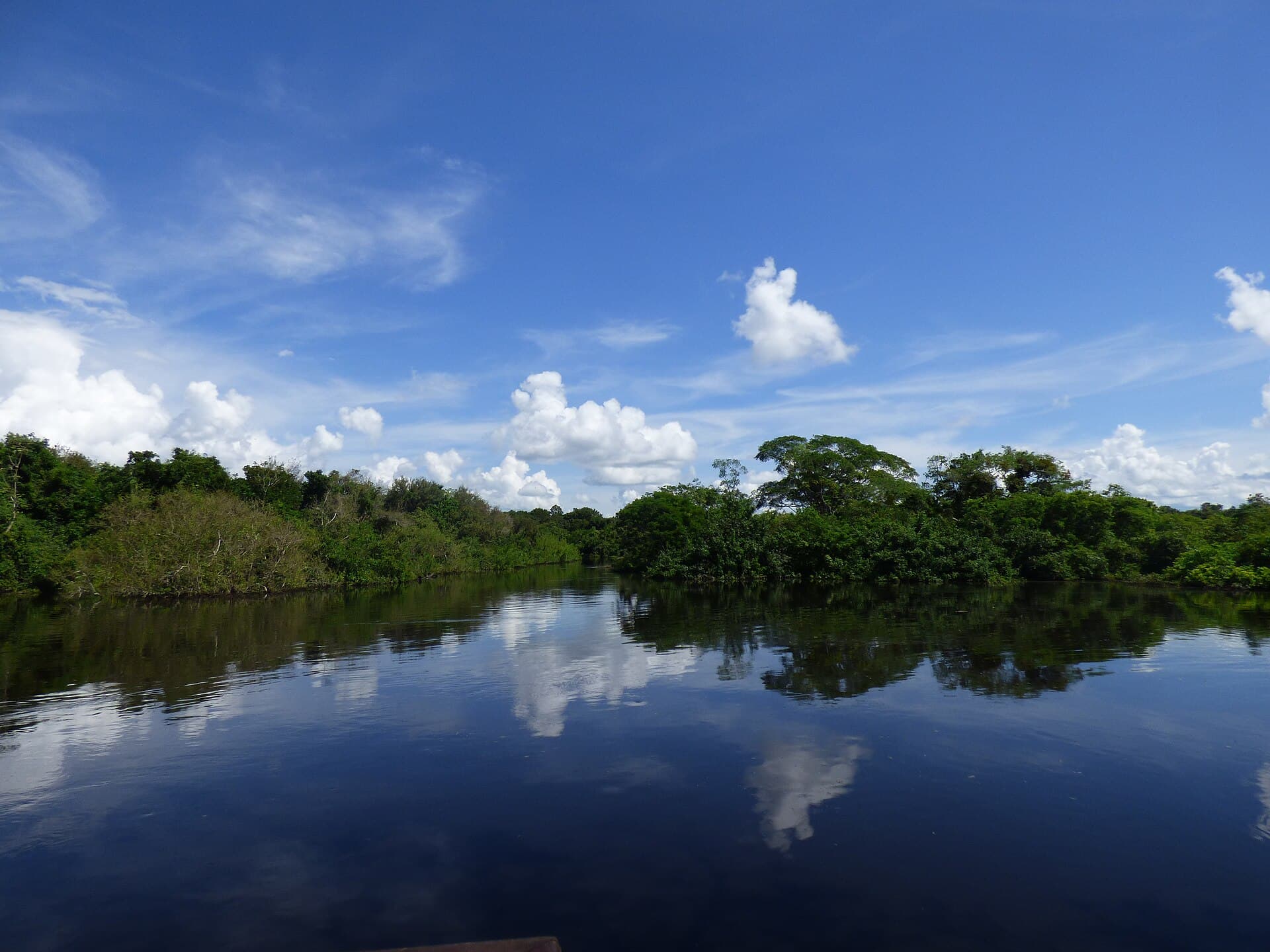 Yacuma pampas wetlands